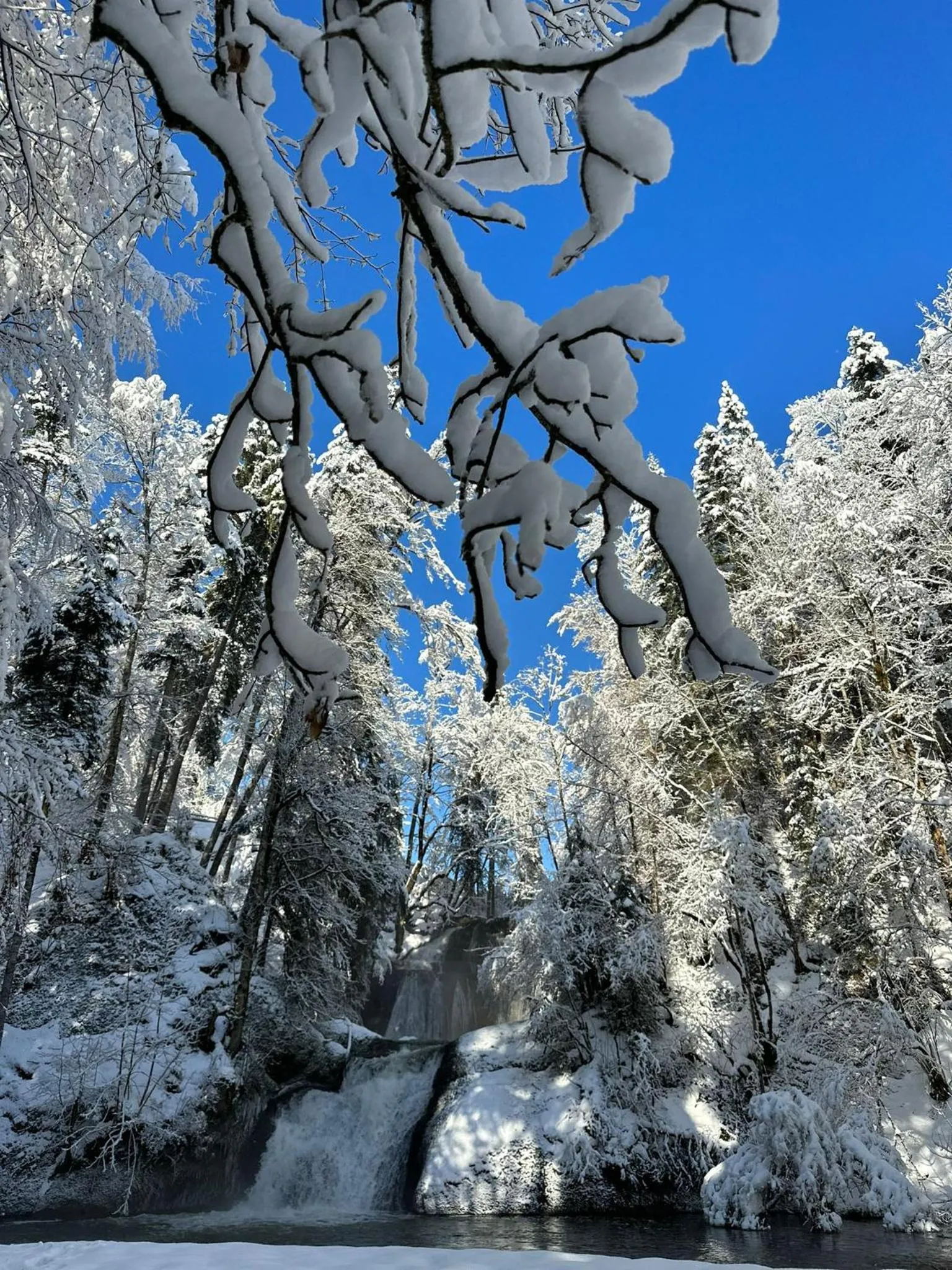 Natural landscape in Landhaus Eibelesee