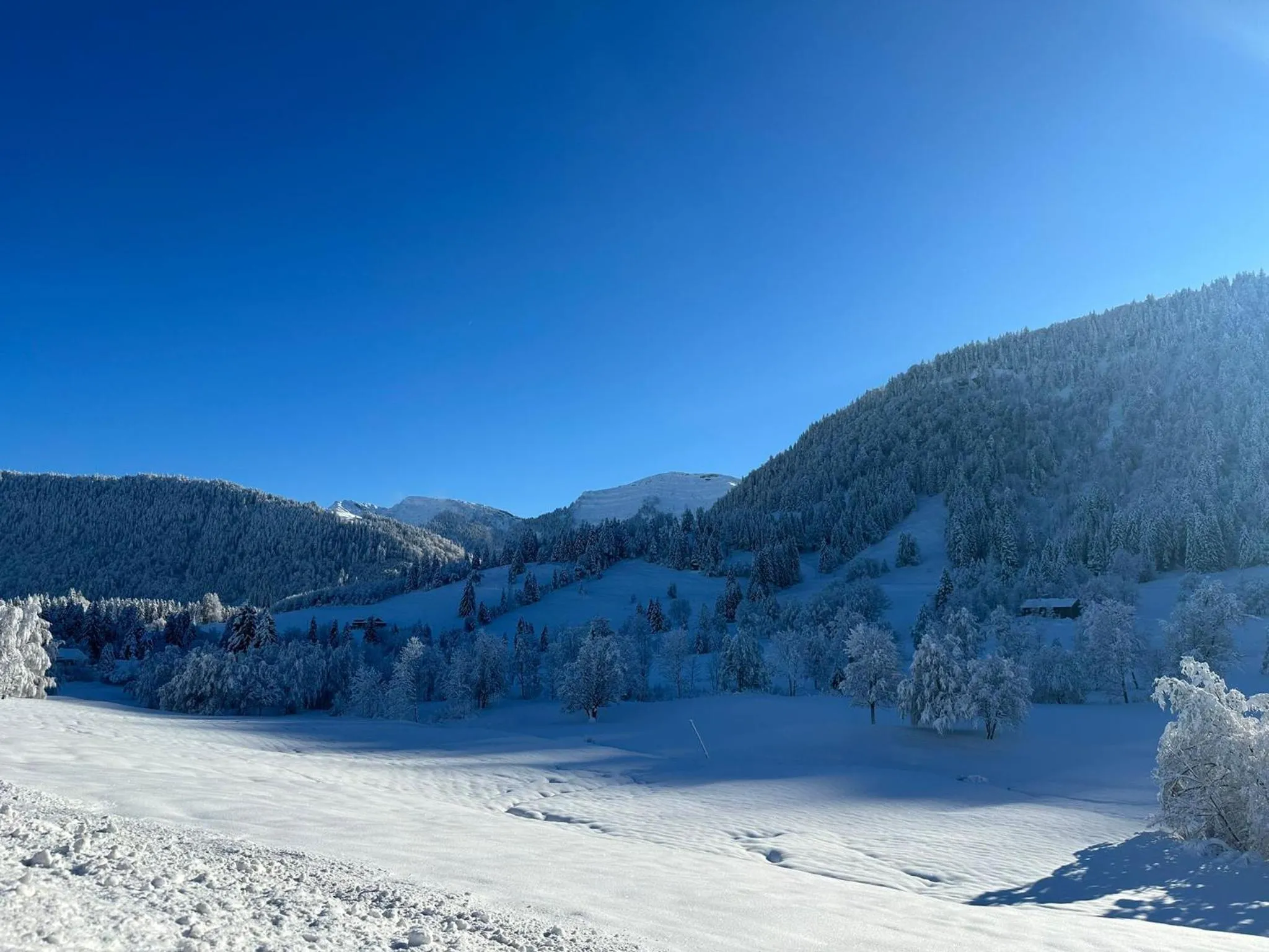 Natural landscape in Landhaus Eibelesee