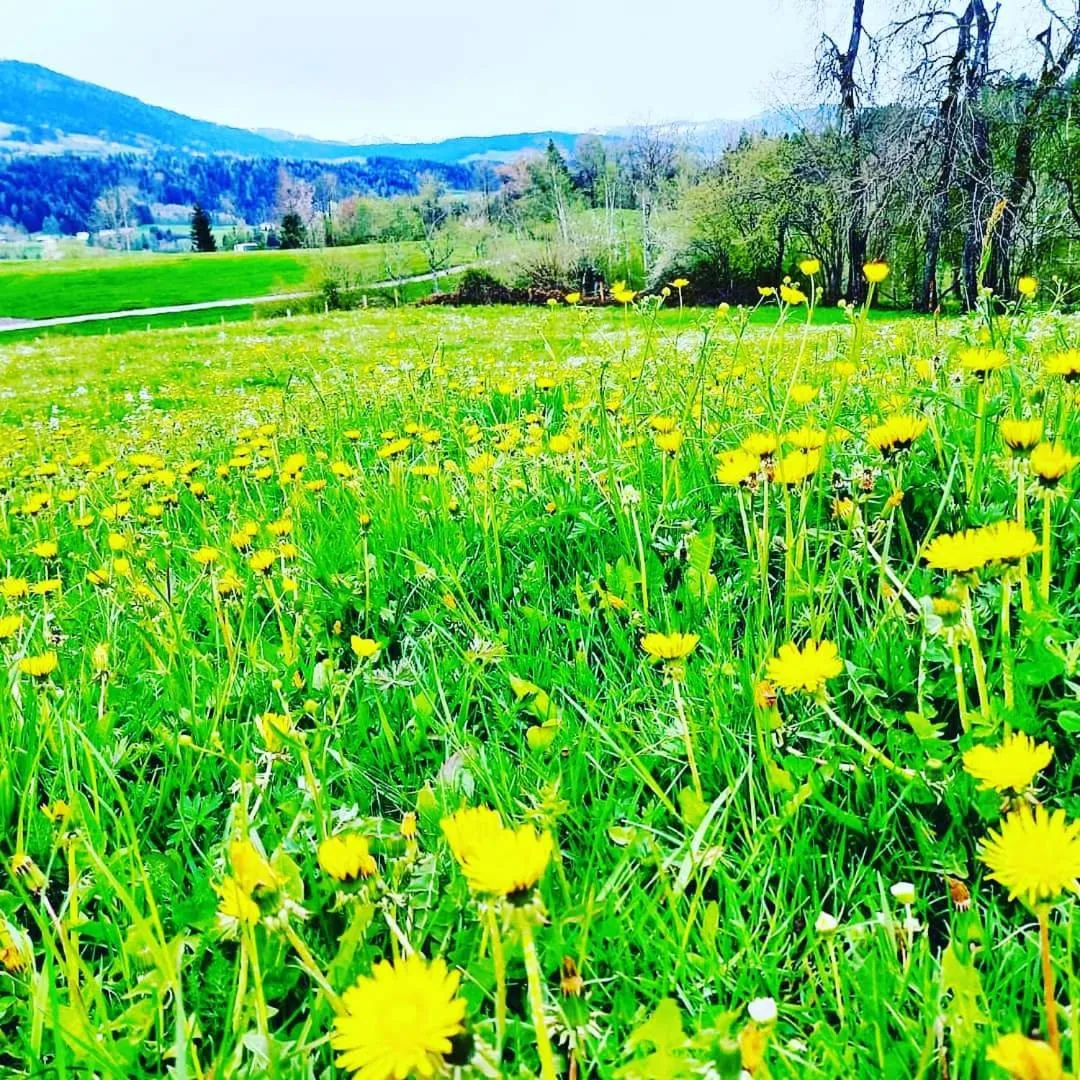 Spring in Landhaus Eibelesee