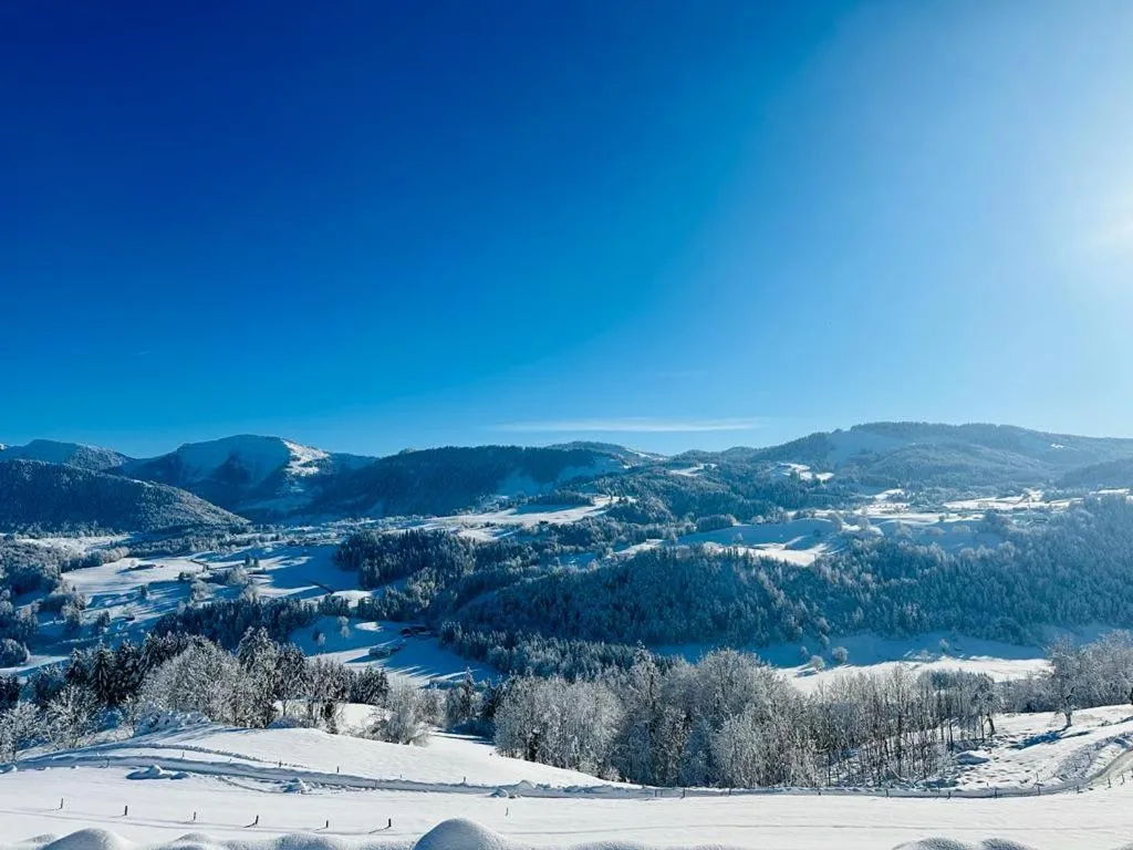 Winter in Landhaus Eibelesee