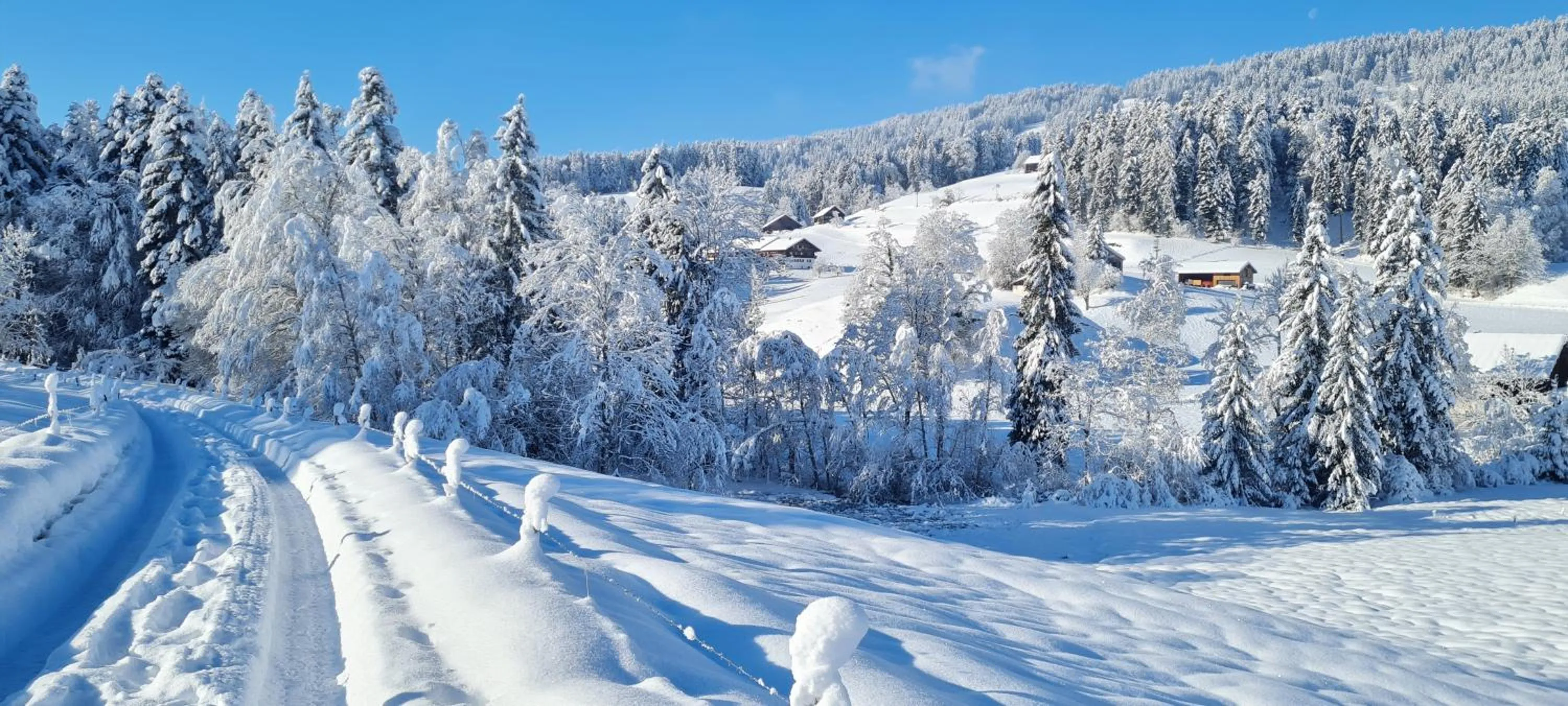 Natural landscape in Landhaus Eibelesee