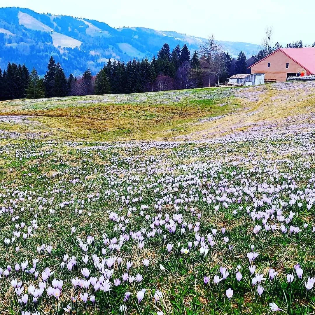 Spring in Landhaus Eibelesee