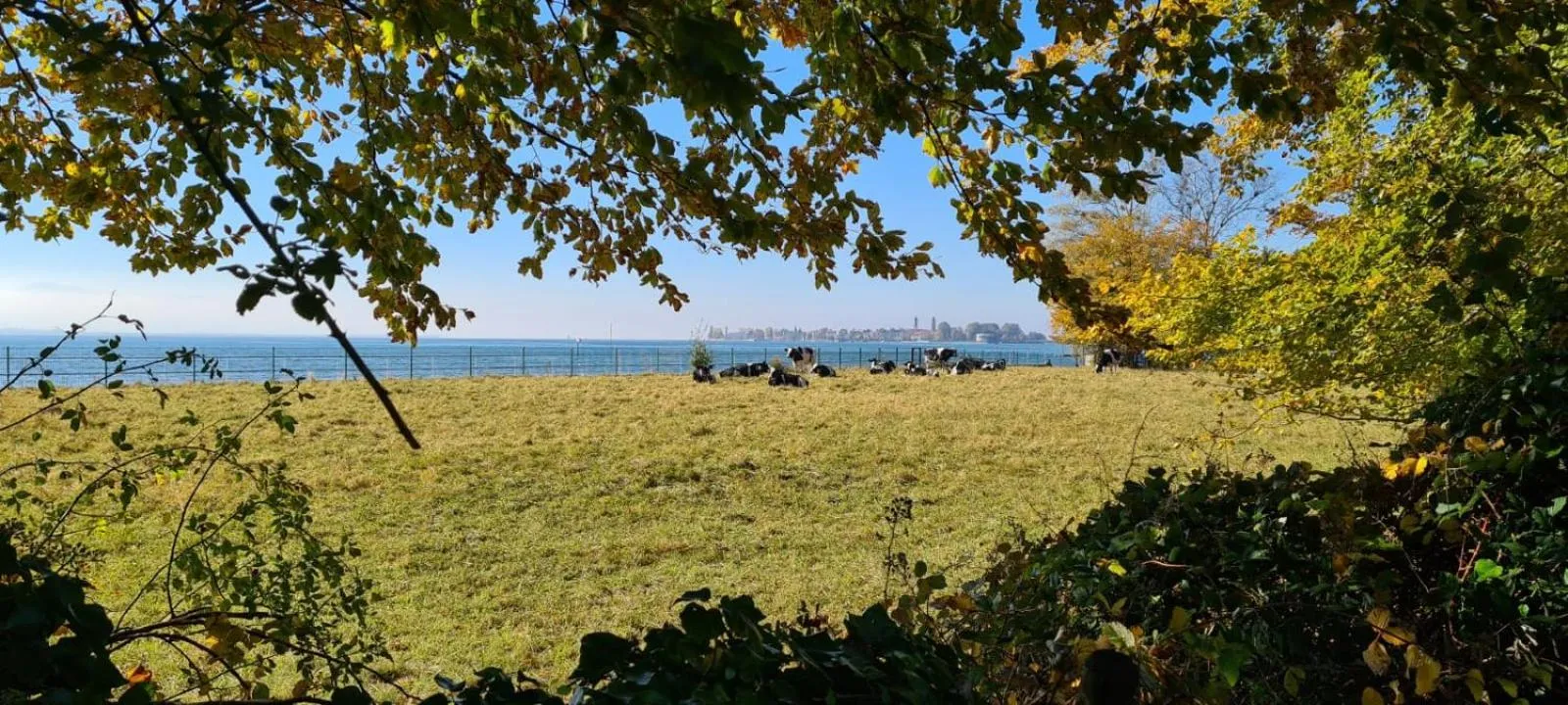 Natural landscape in Landhaus Eibelesee