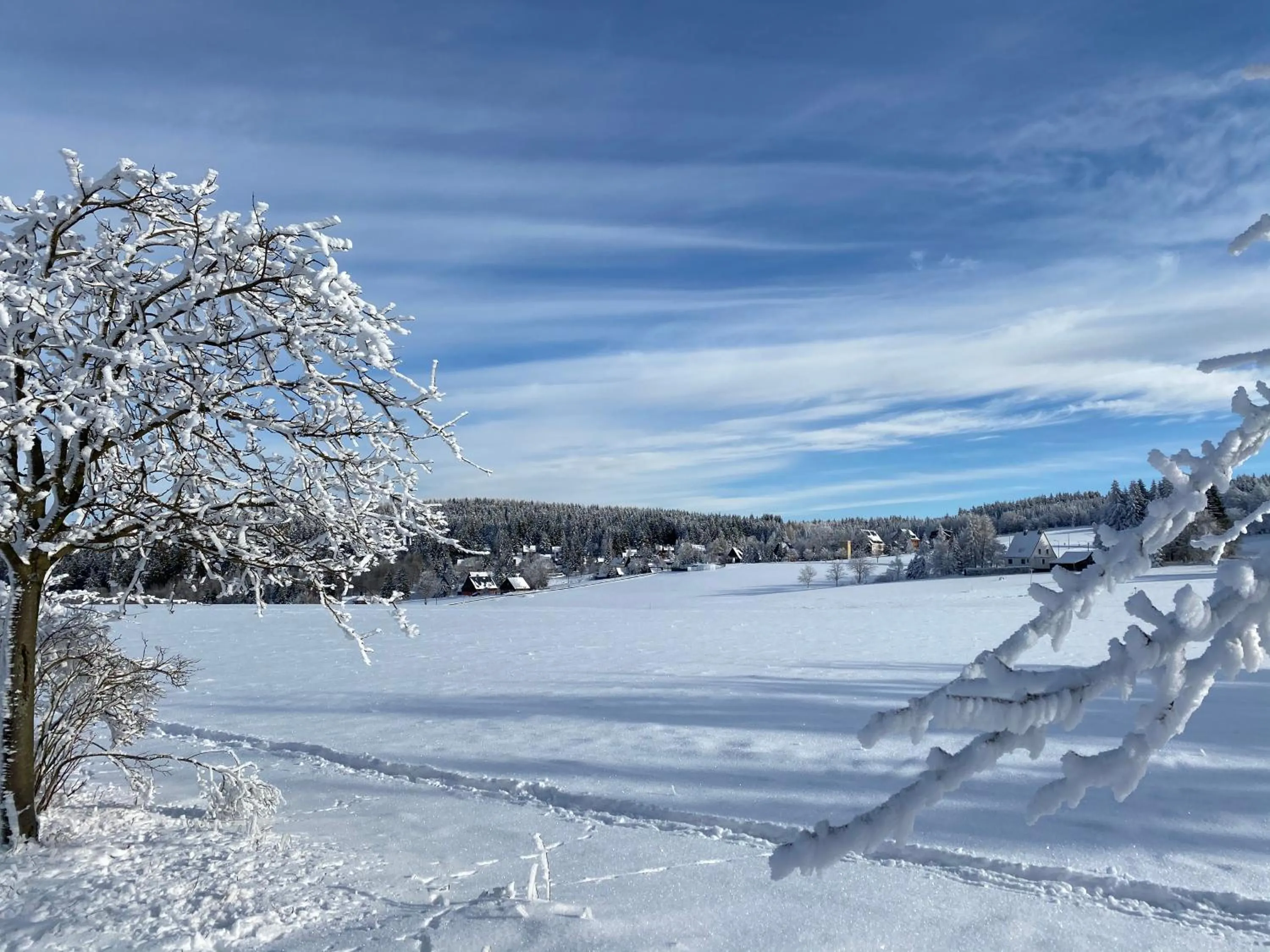 Natural landscape in Berghotel Talblick