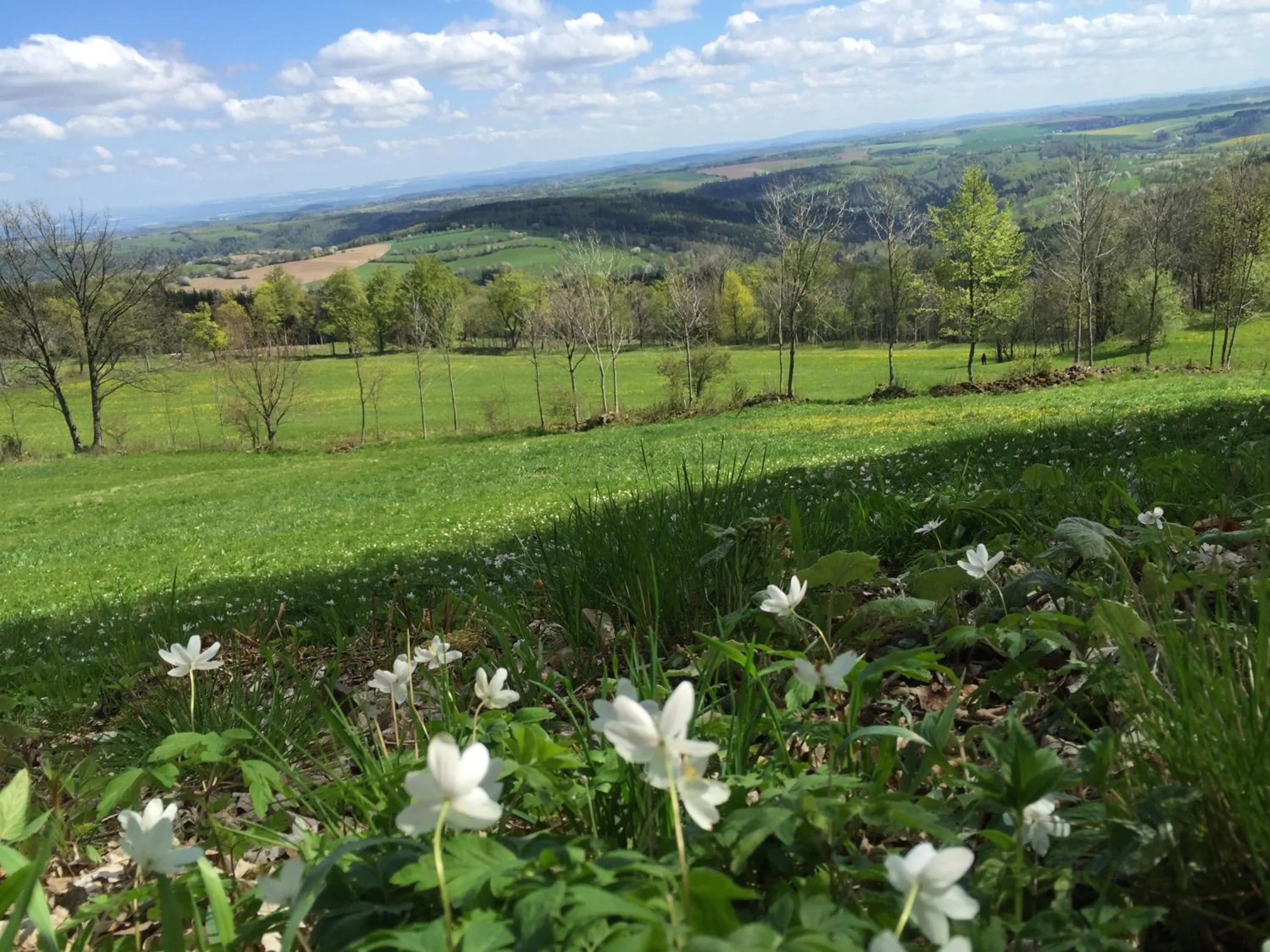 Hiking in Berghotel Talblick