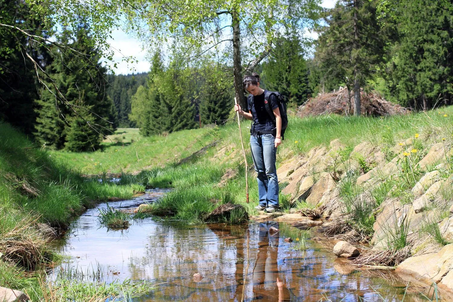Hiking in Berghotel Talblick
