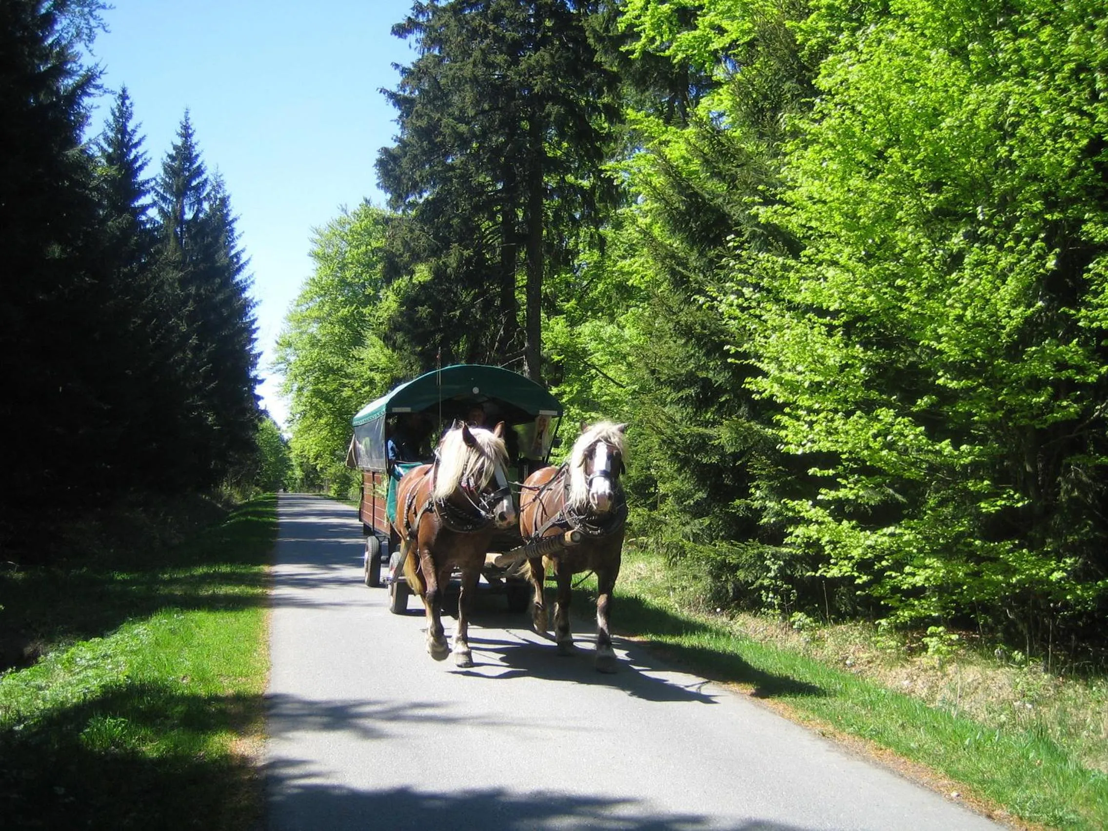 Area and facilities in Berghotel Talblick