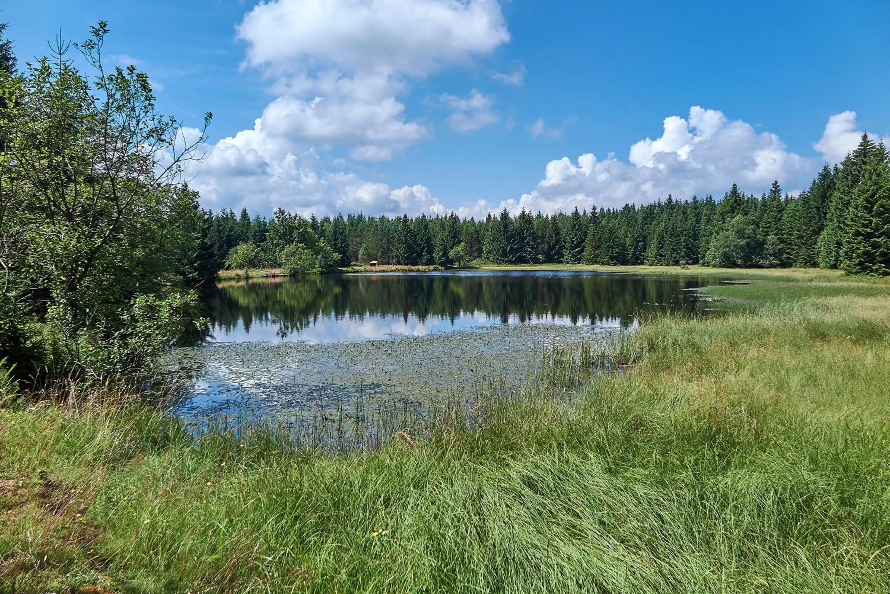 Hiking in Berghotel Talblick