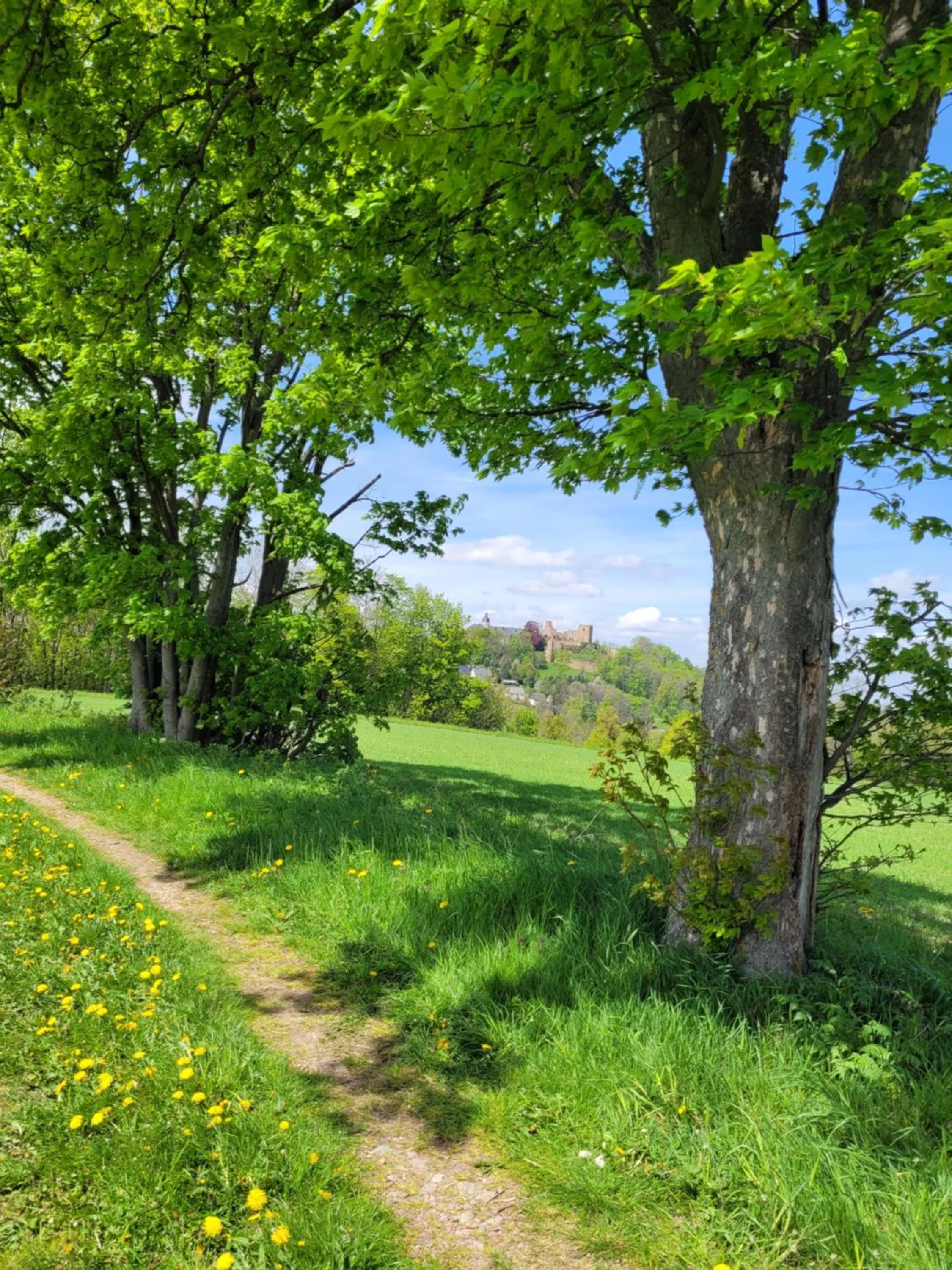Hiking in Berghotel Talblick