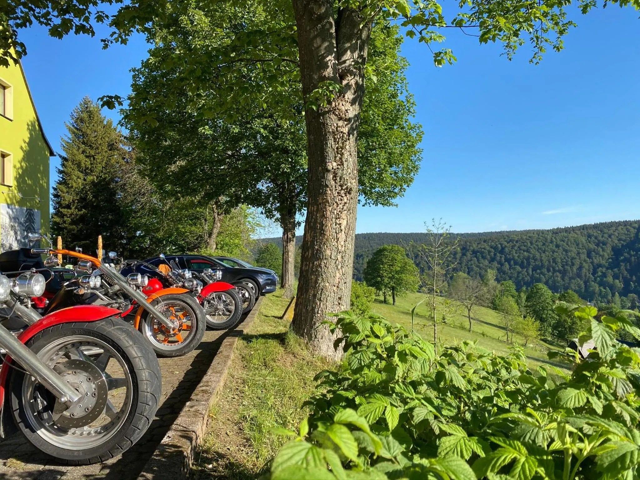 View (from property/room) in Berghotel Talblick