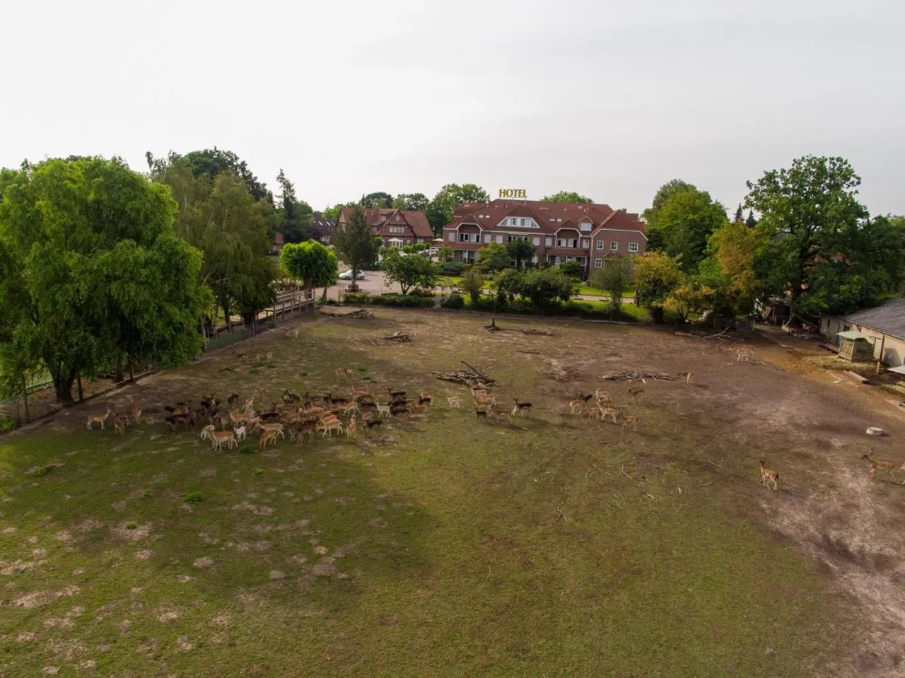 View (from property/room) in Hotel Hennies