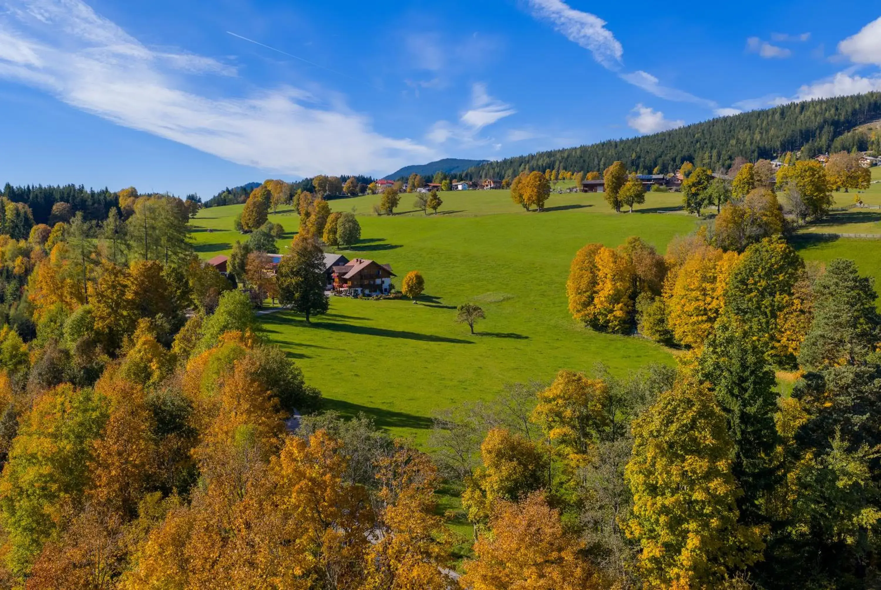 Biobauernhof Brandlhof Biobauernhof Brandlhof