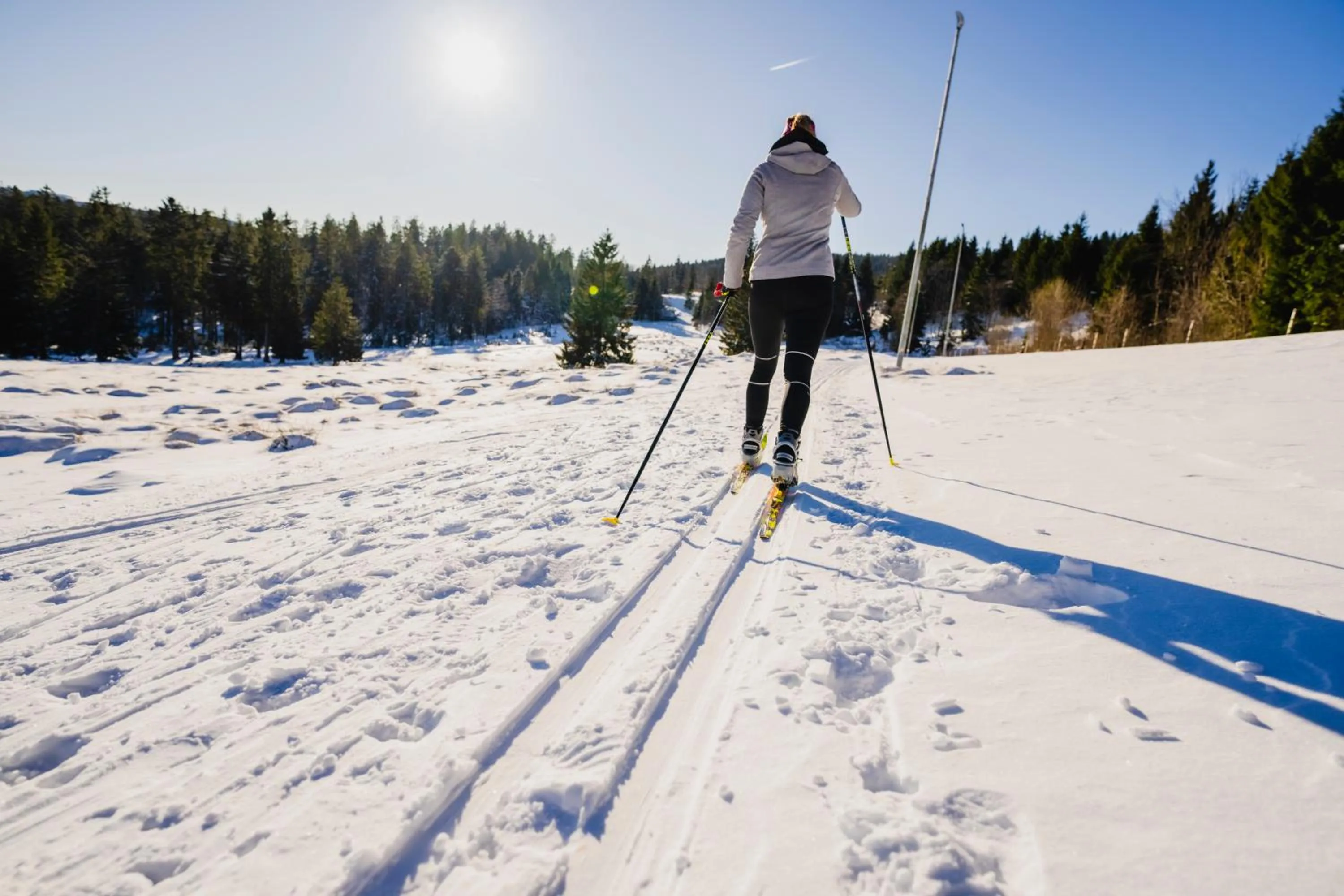 Activities in Das Waldhotel - Genuss & Wellness am Notschreipass