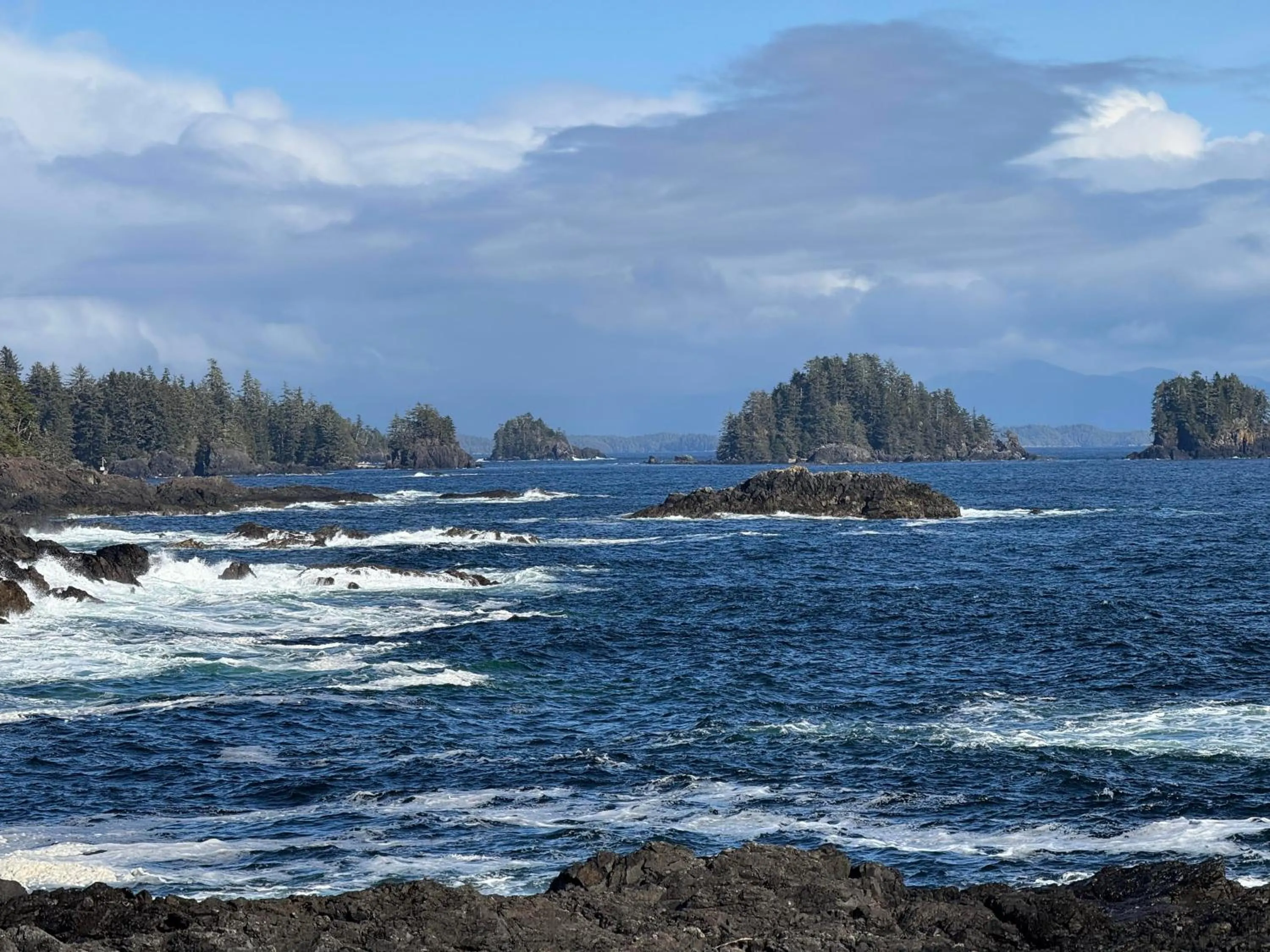 Natural landscape in The Moorage