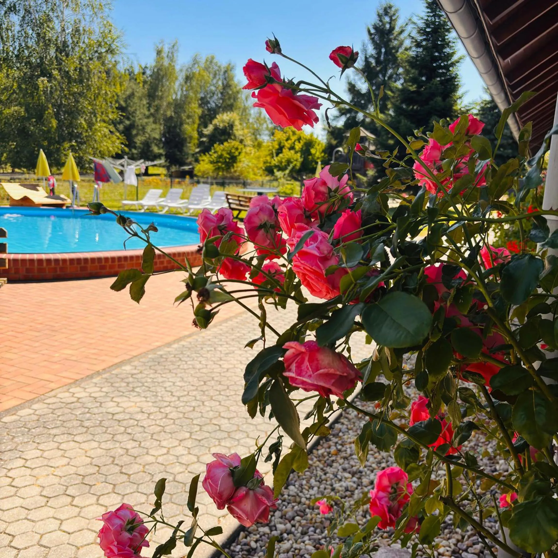 Swimming pool in Ferien Hotel Spreewald
