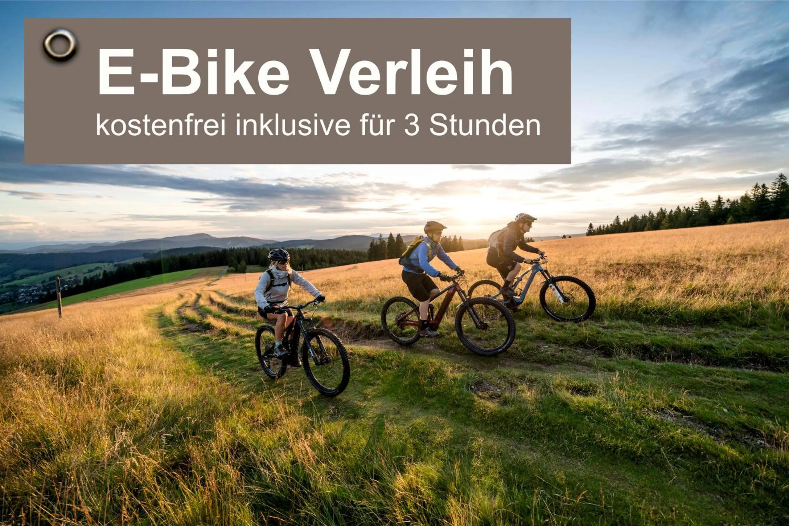 Cycling in Grüner Baum Naturparkhotel & Schwarzwald-Restaurant