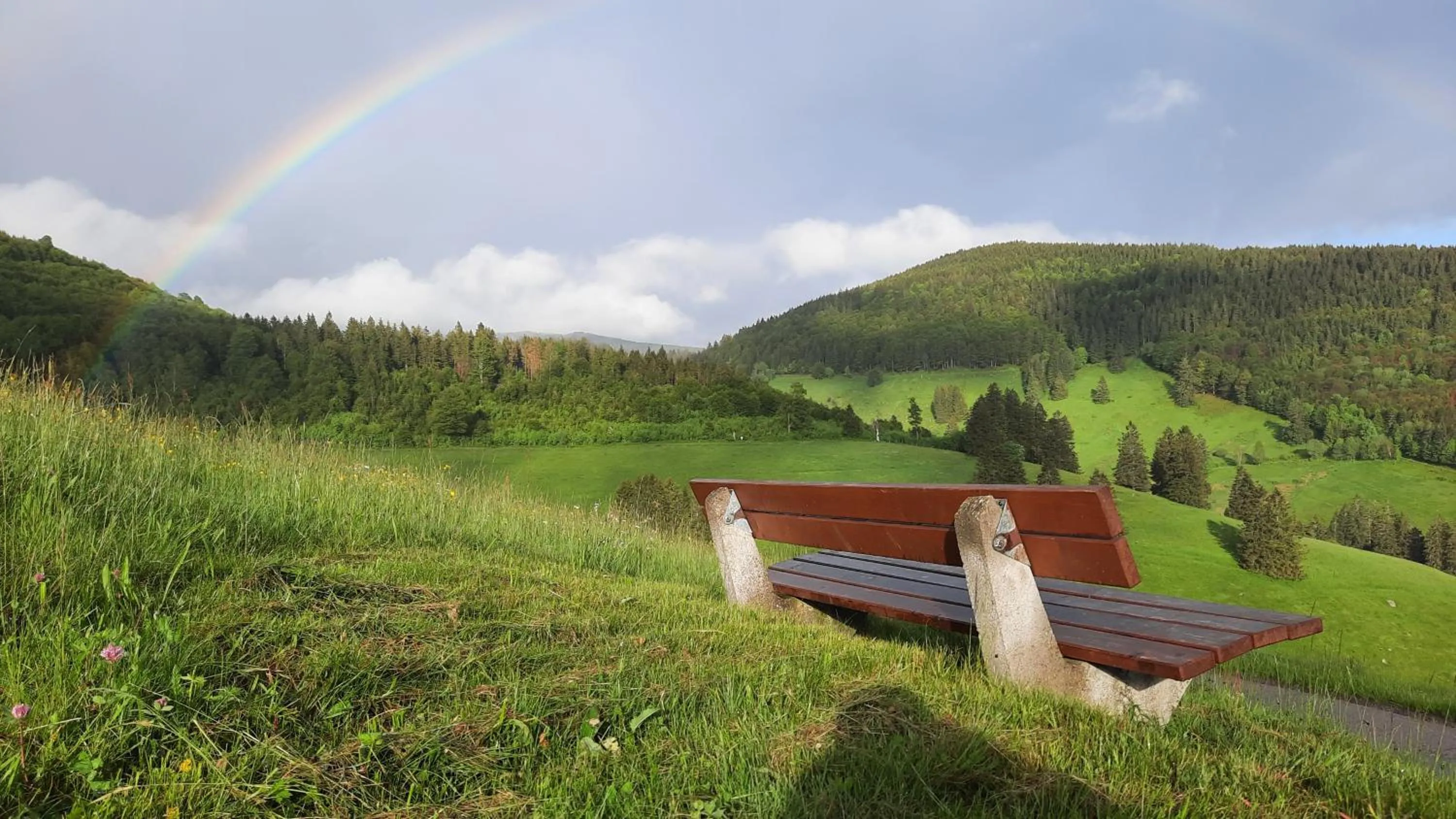 Spring in Grüner Baum Naturparkhotel & Schwarzwald-Restaurant