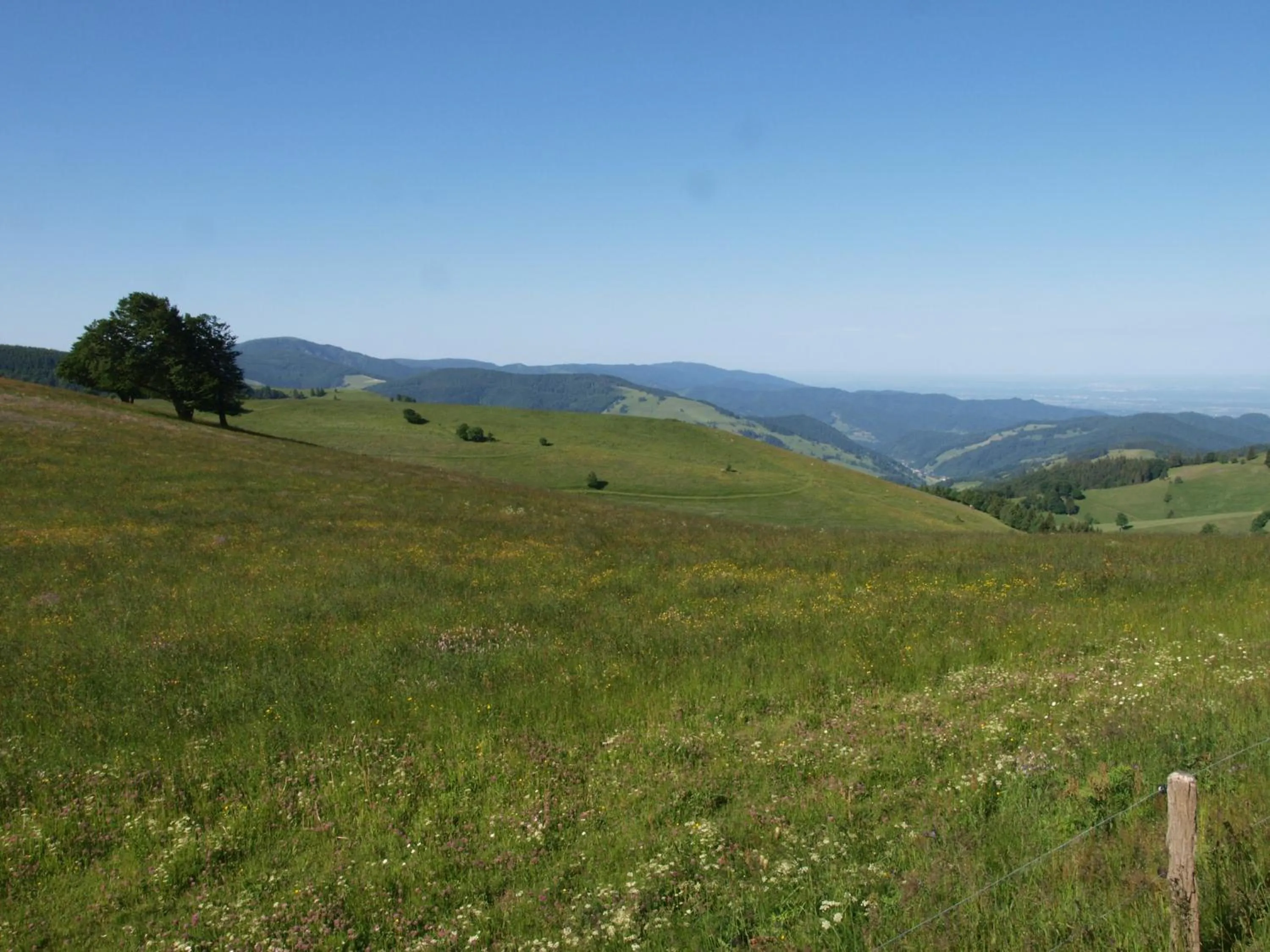 Bird's eye view in Grüner Baum Naturparkhotel & Schwarzwald-Restaurant