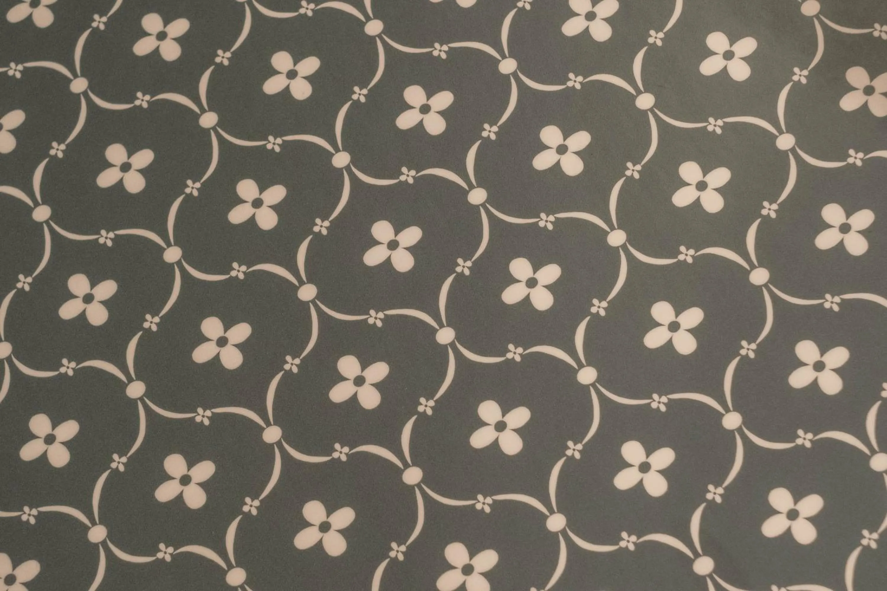 Area and facilities in 7 Rooms Hotel & Cafe - 30mins from Disneyland