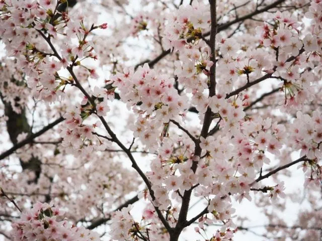 7 Rooms Hotel & Cafe - Boutique Designer Hotel - 30 mins from Disneyland&Tokyo