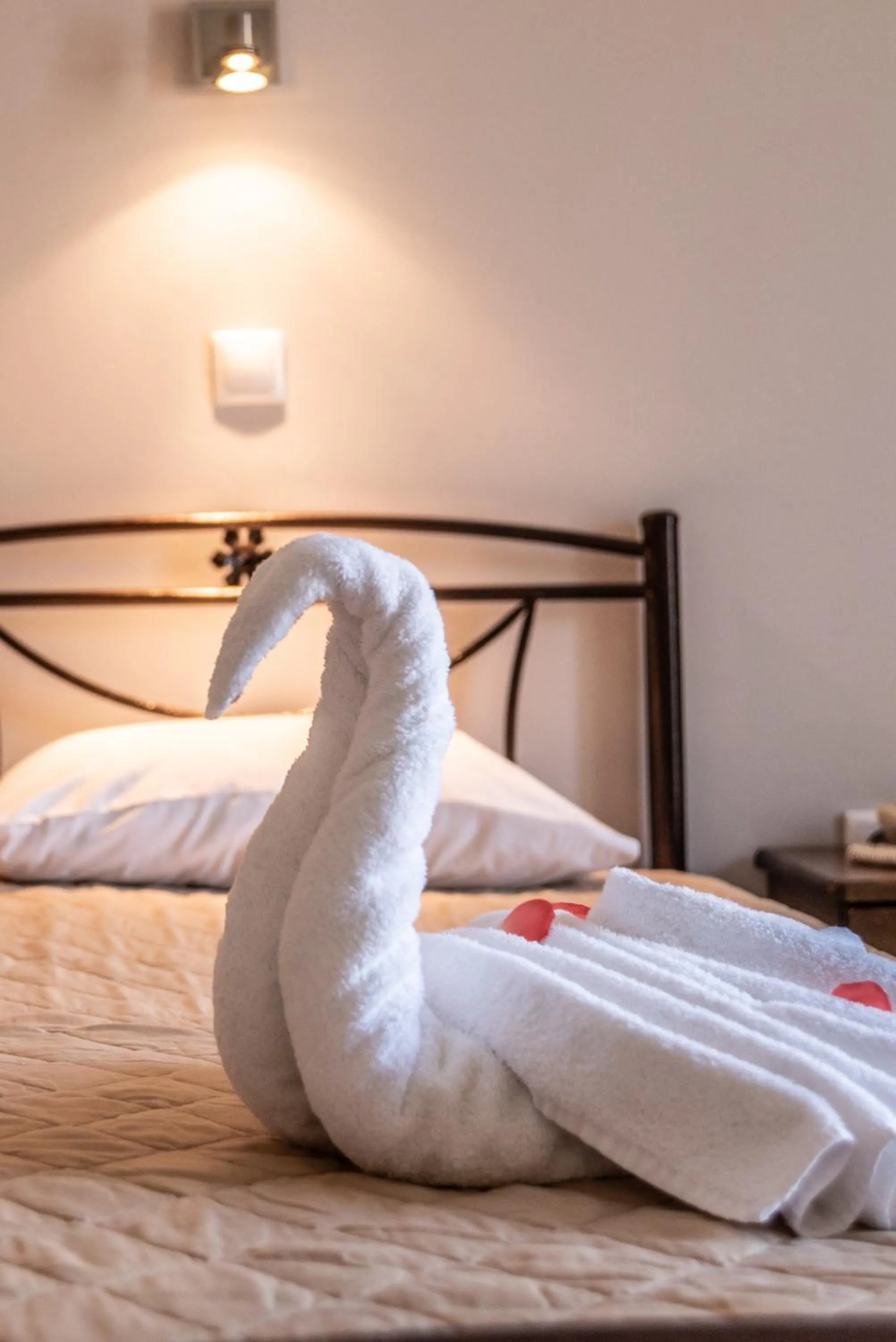 Hotel Matina