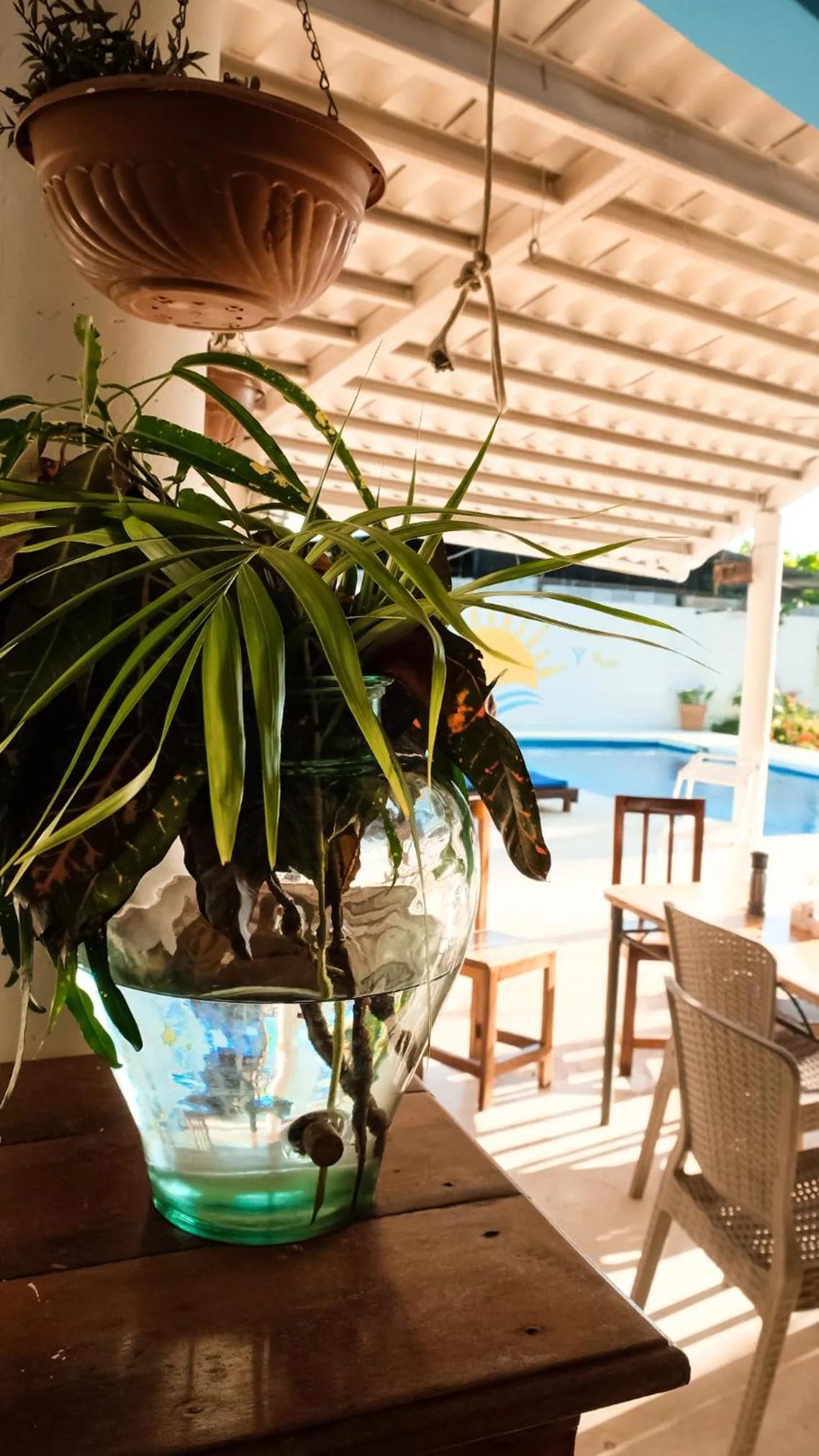 Restaurant/places to eat in Hotel Sol y Mar