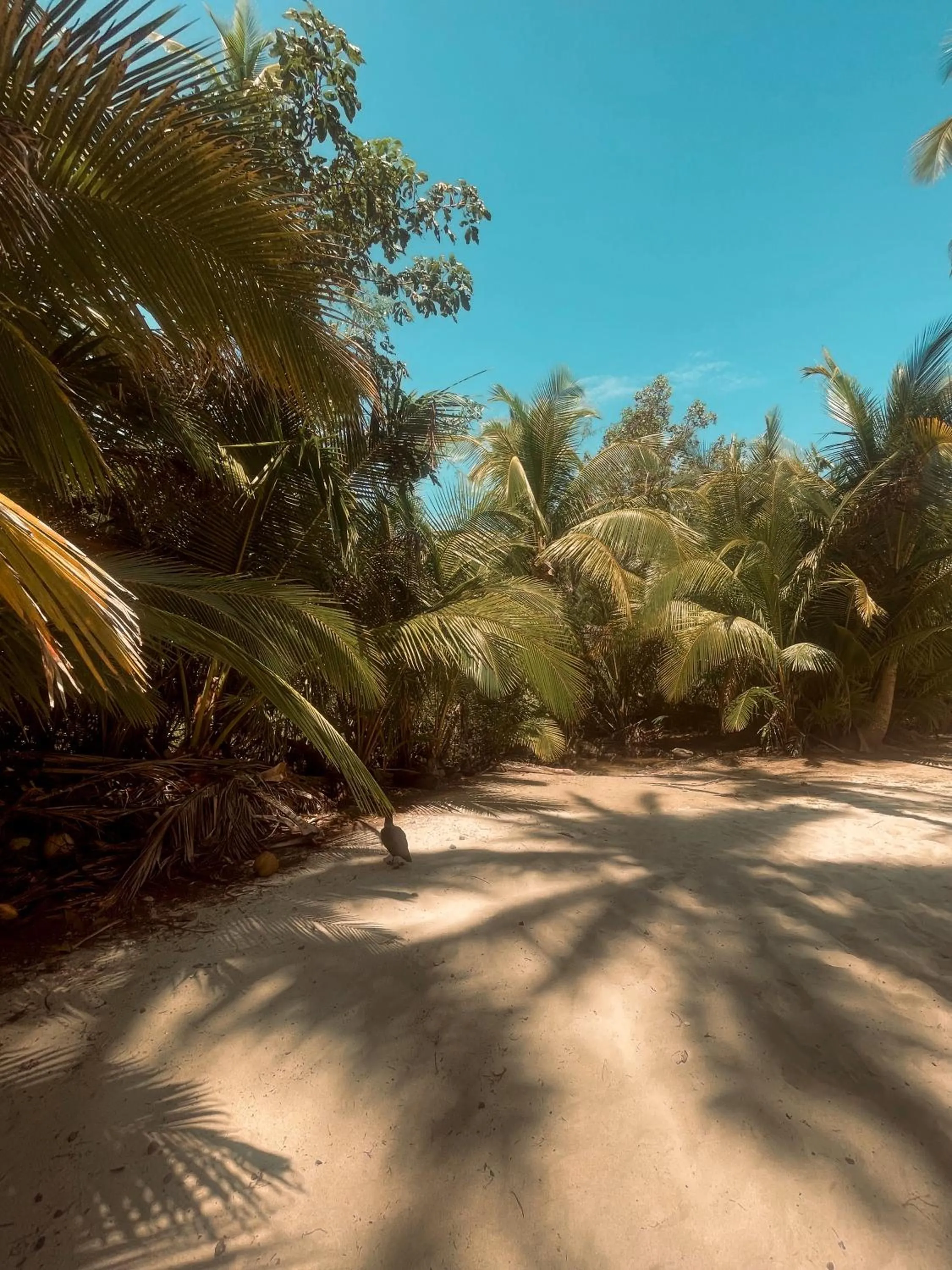 Beach in Hotel Sol y Mar