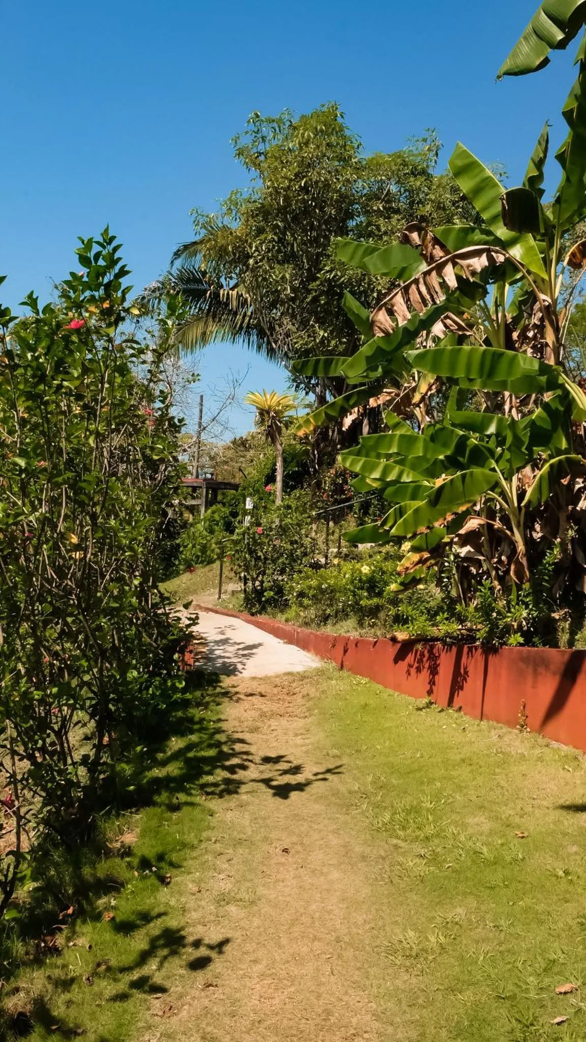 Garden in Hotel Sol y Mar