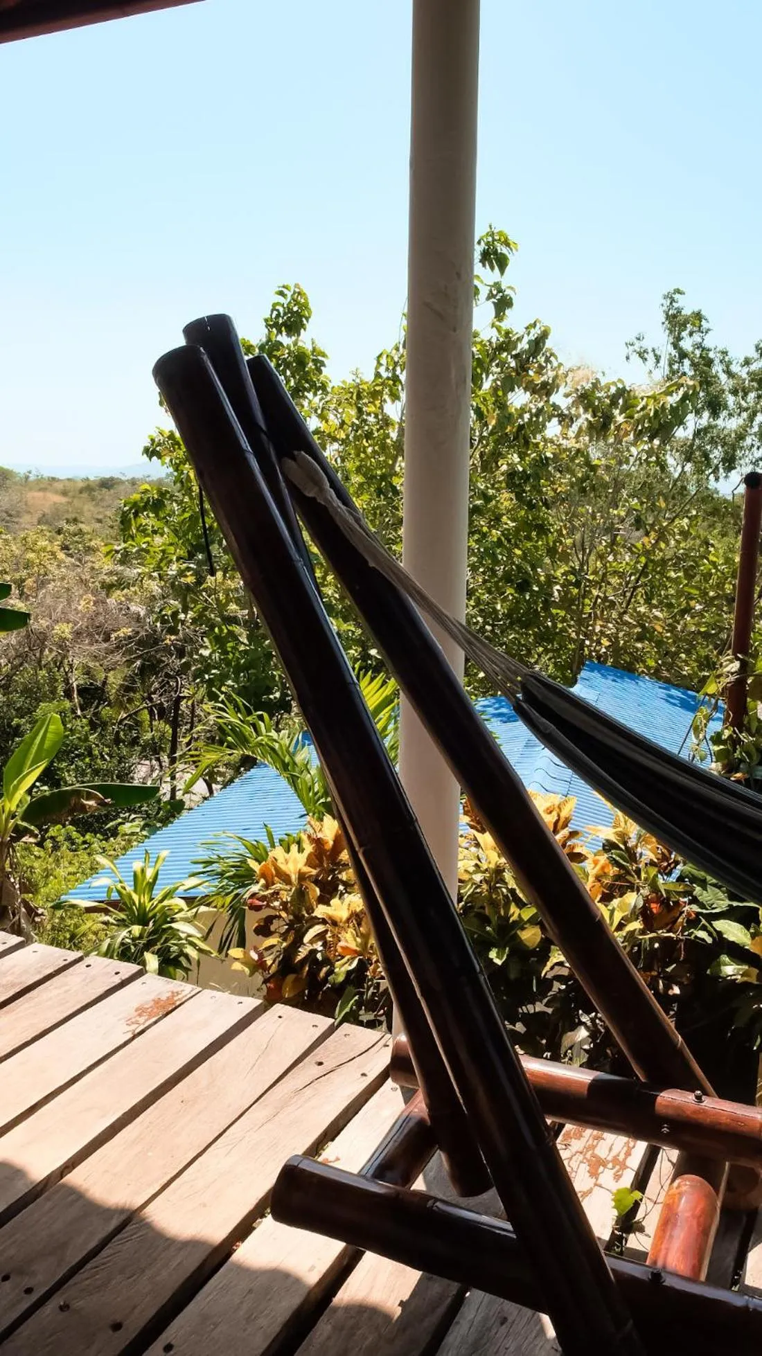 Natural landscape in Hotel Sol y Mar