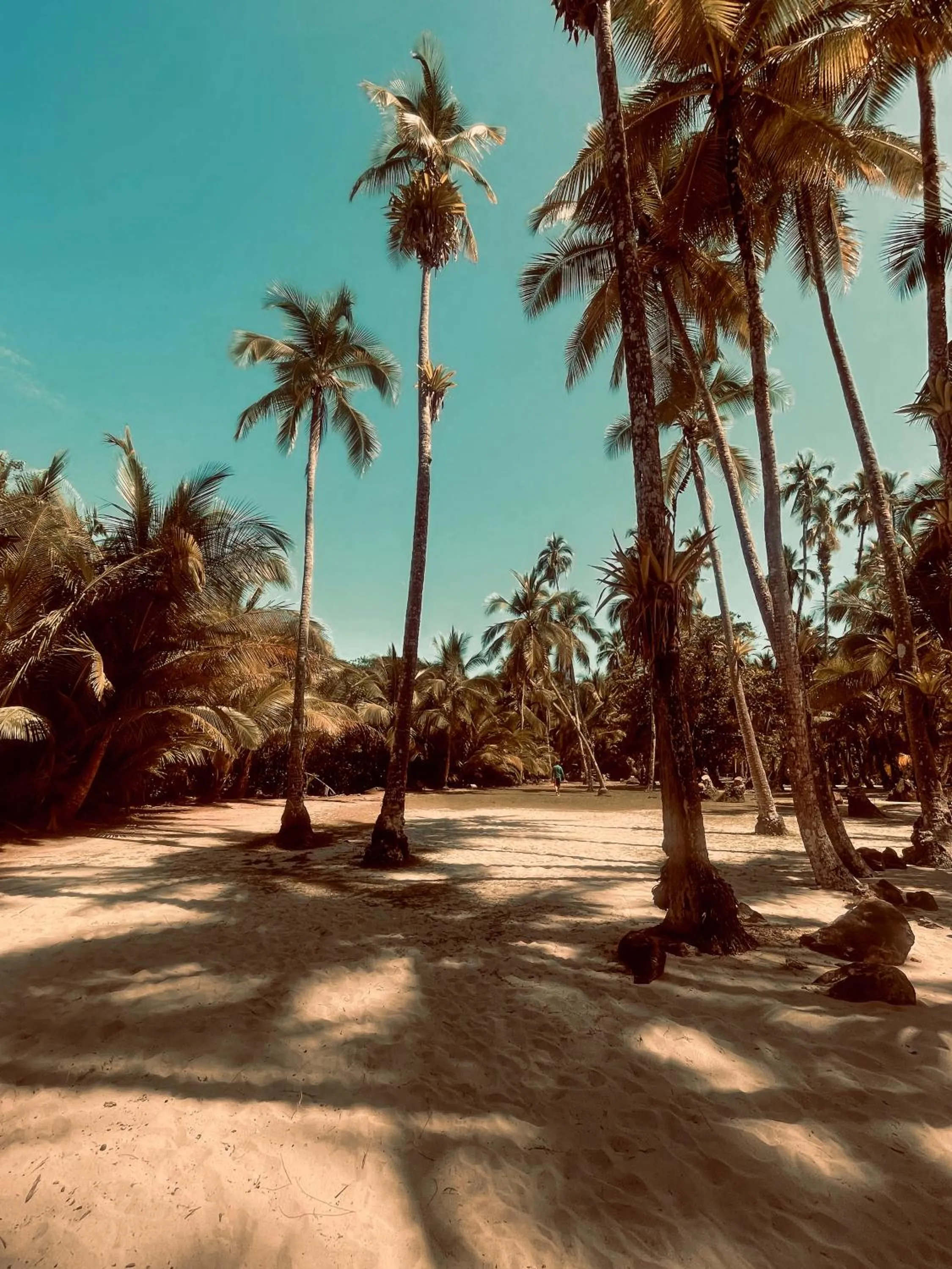 Beach in Hotel Sol y Mar