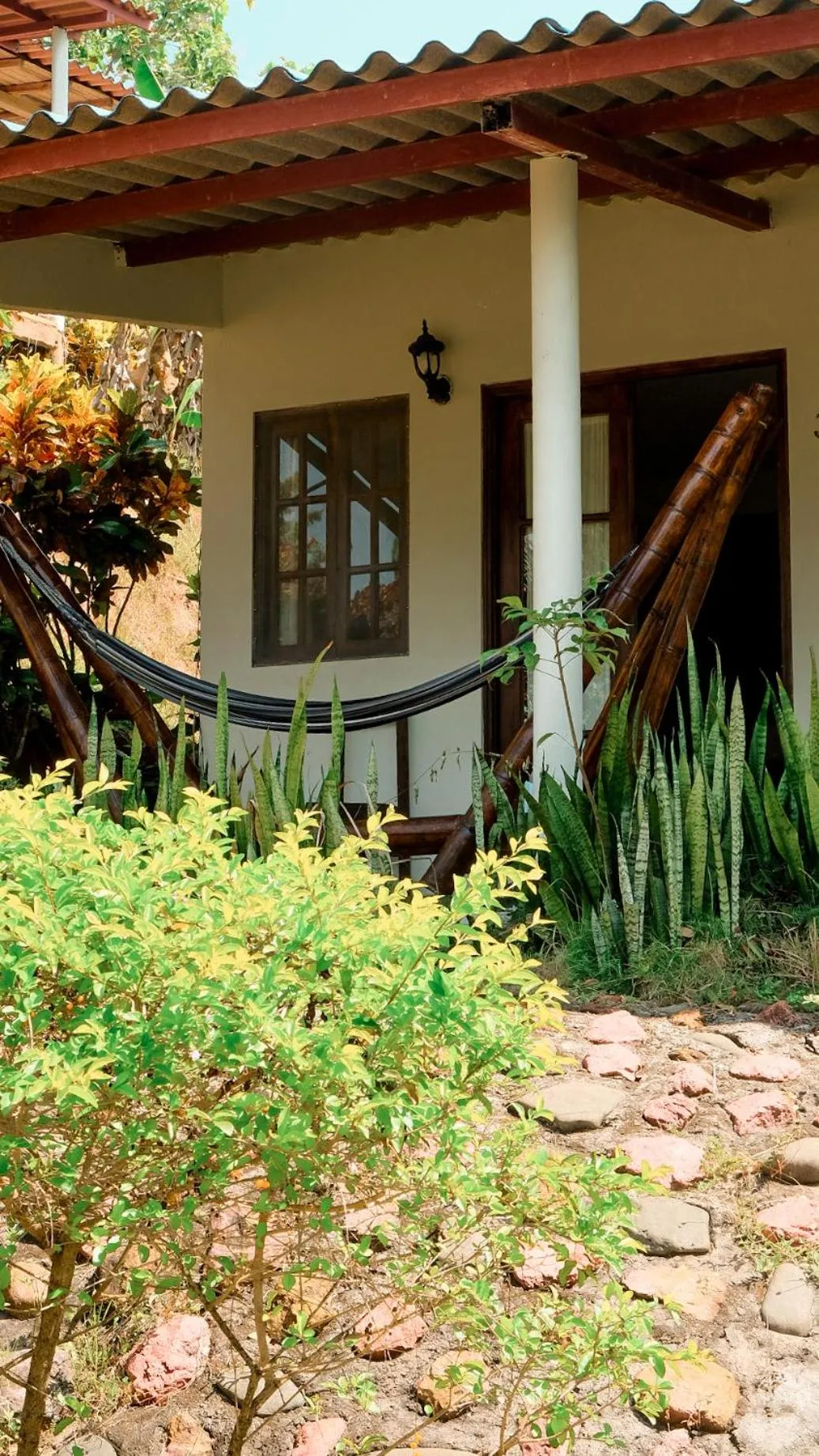 Garden in Hotel Sol y Mar