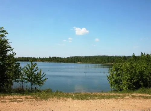 Area and facilities in Hotel Rosenhof