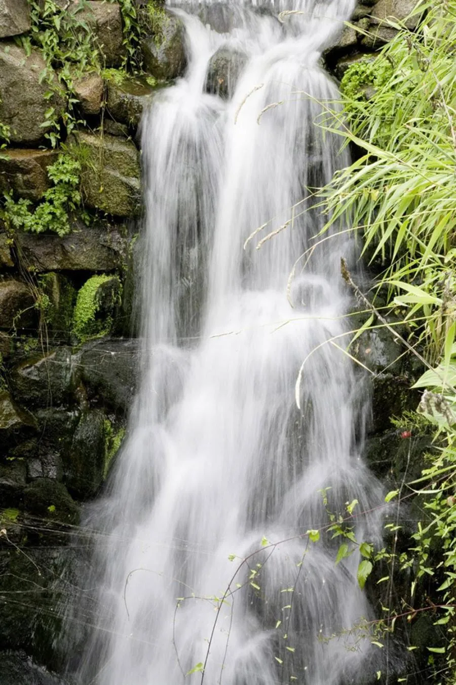 Natural landscape in WAGNERS Seehotel Schleusingen