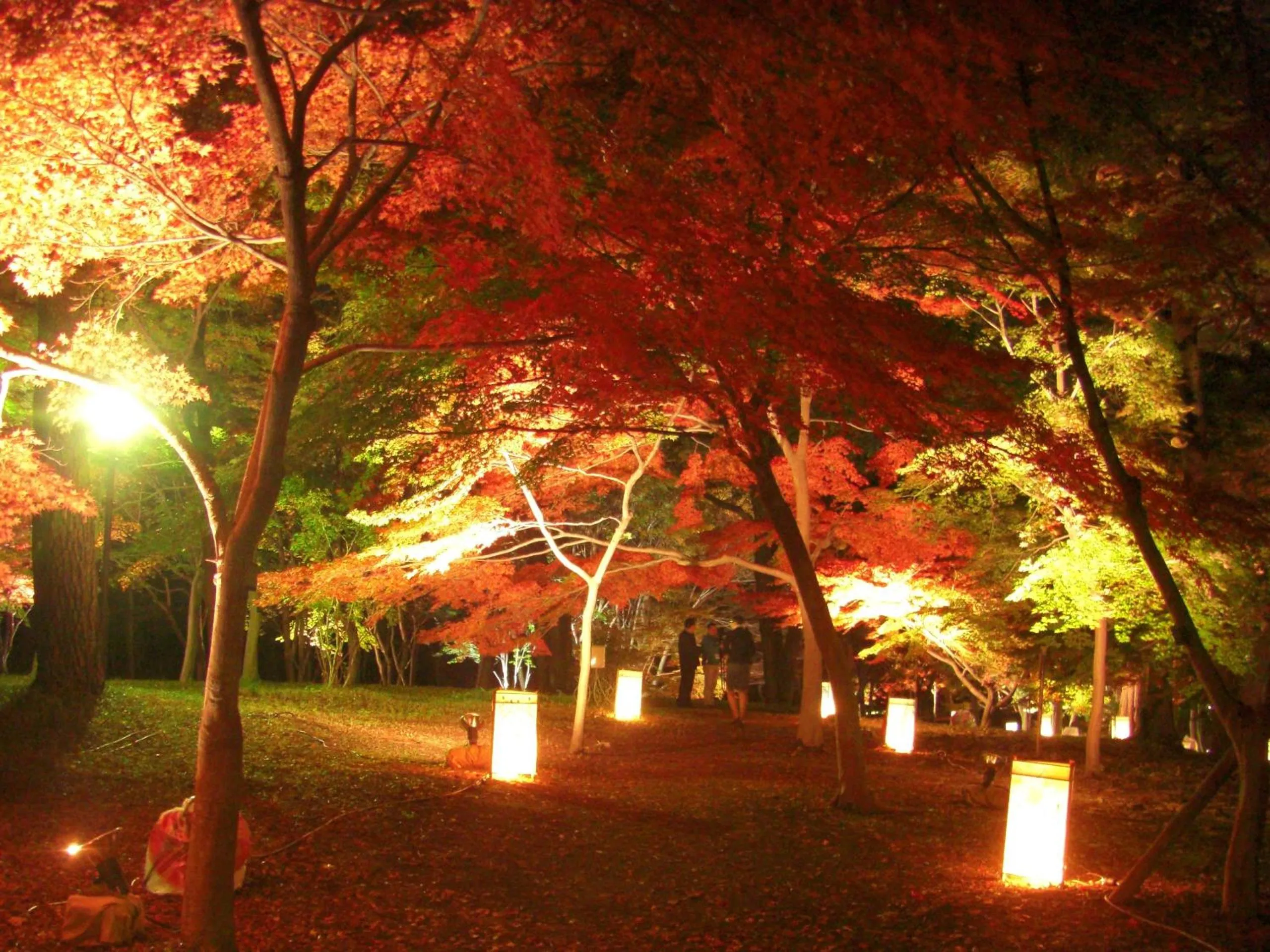 Autumn in Hotel Heritage