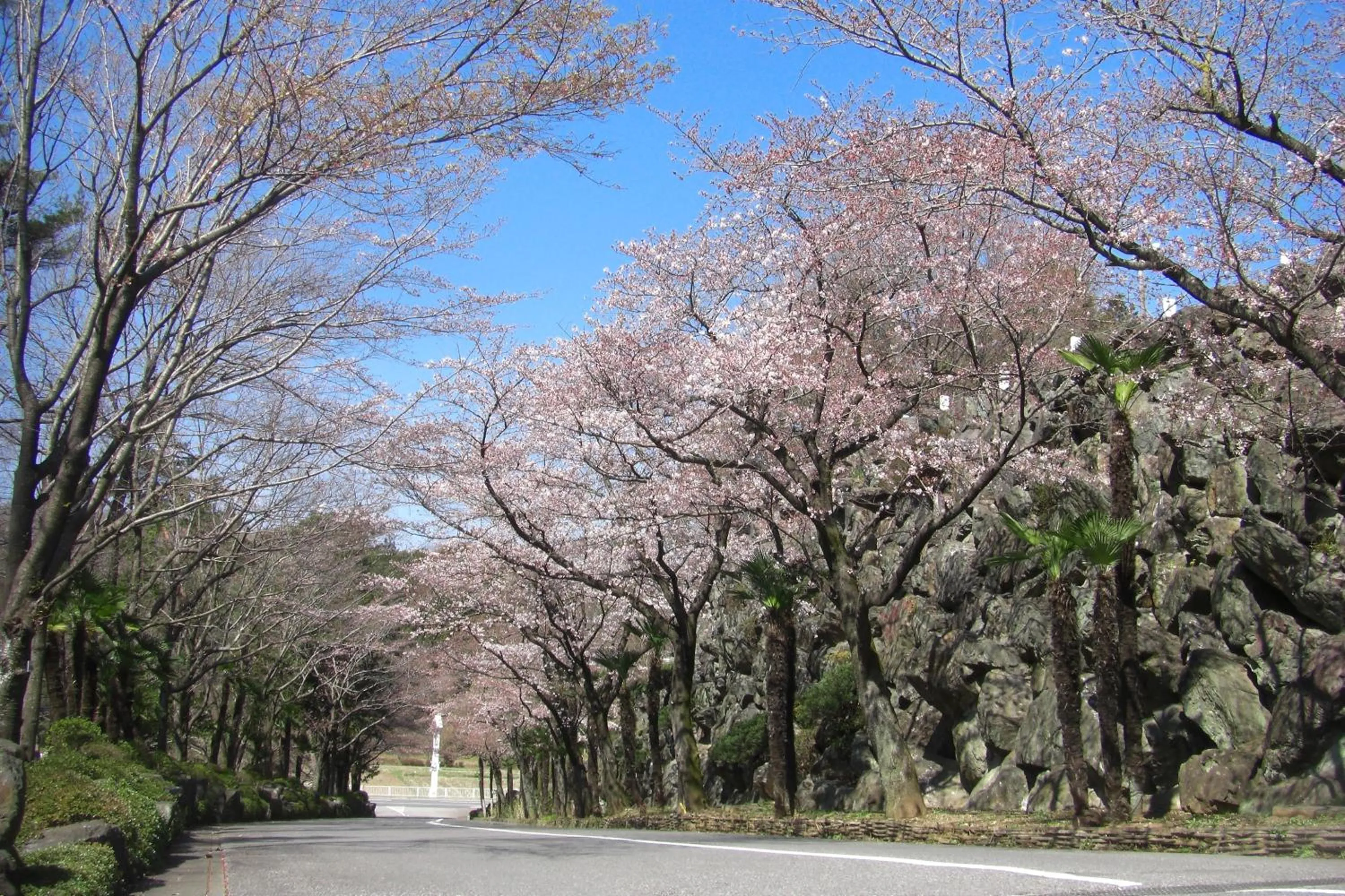 Area and facilities in Hotel Heritage