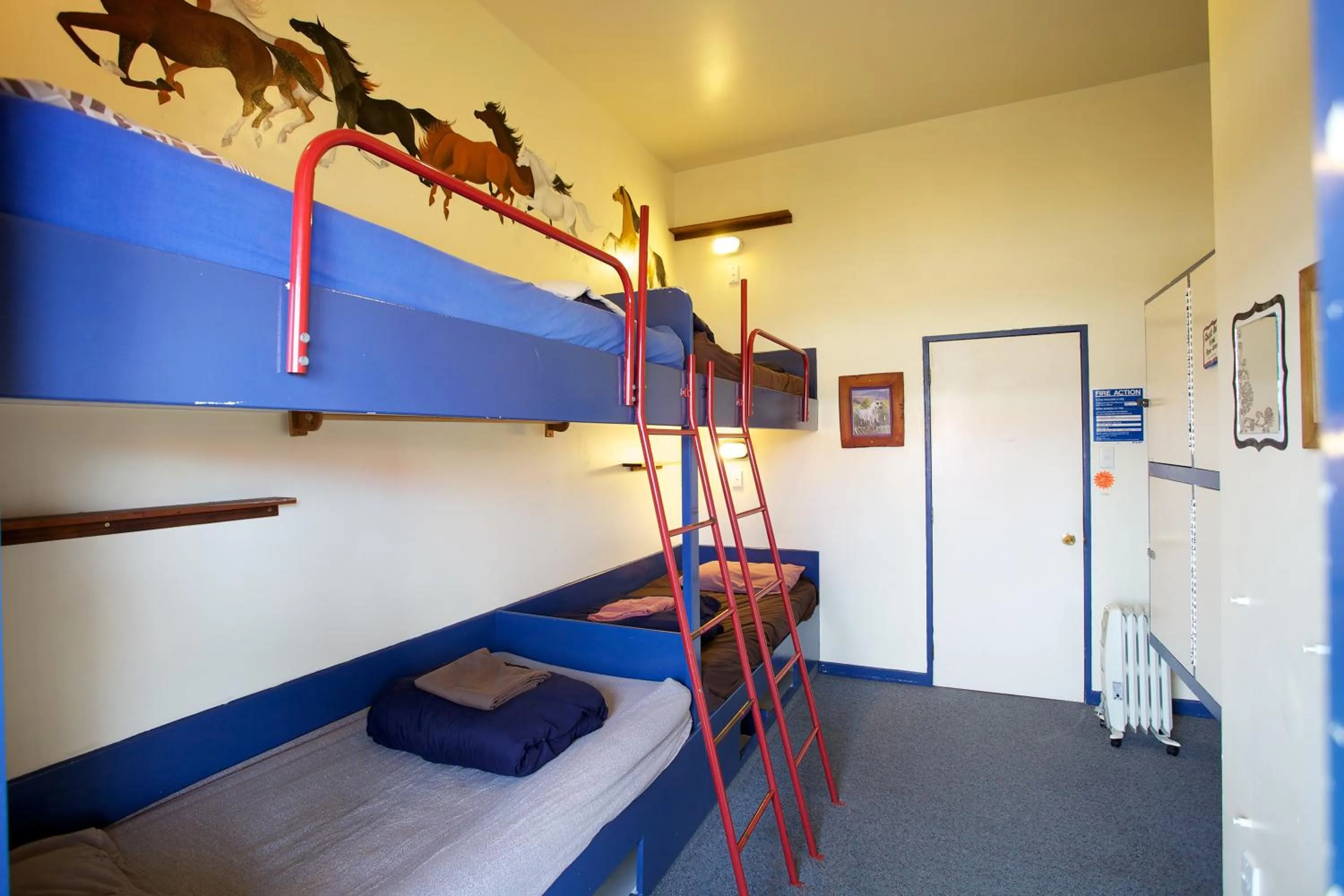 Bunk Bed in Stables Lodge Backpackers