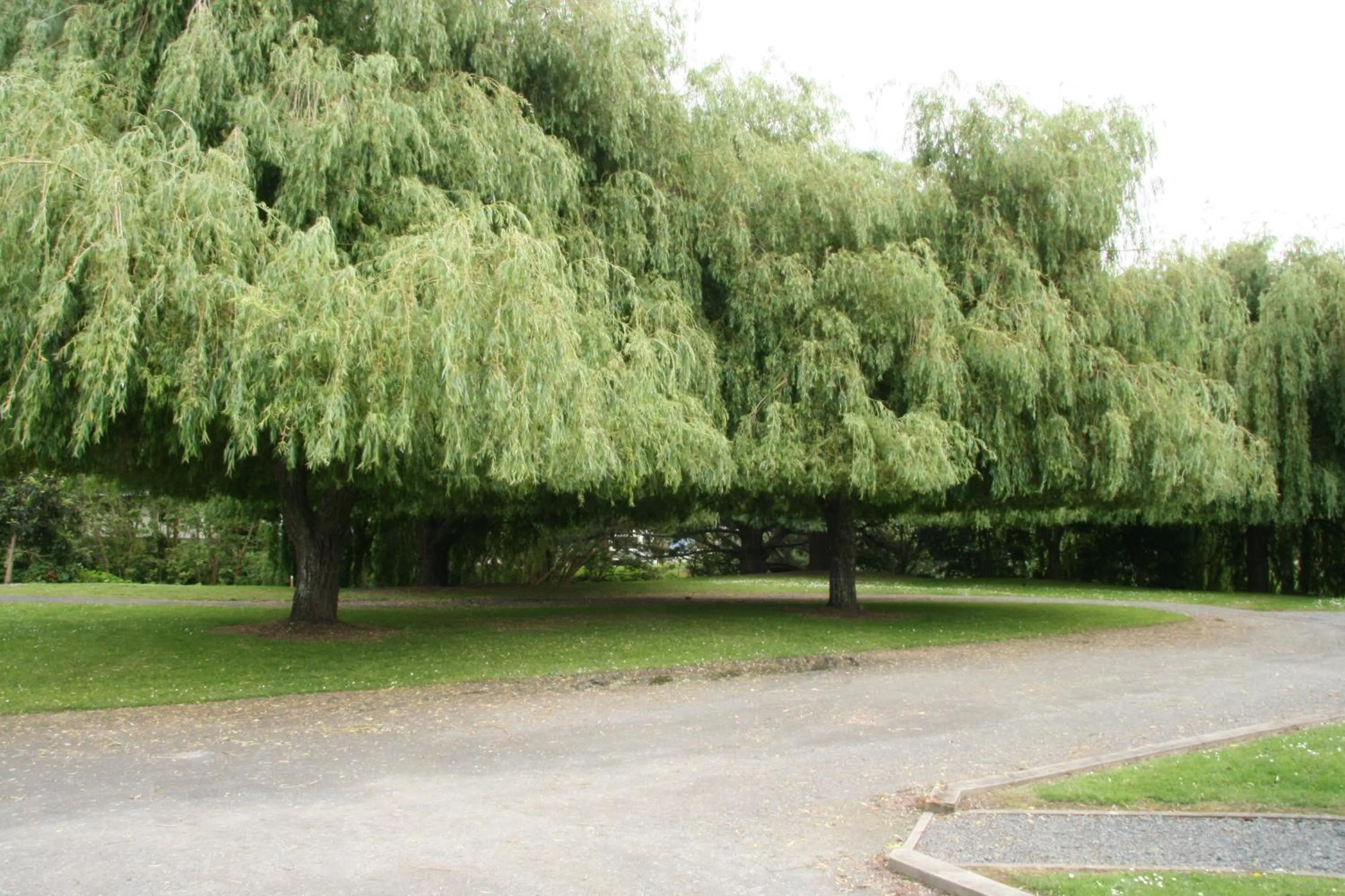 Other in Whangarei Central Holiday Park