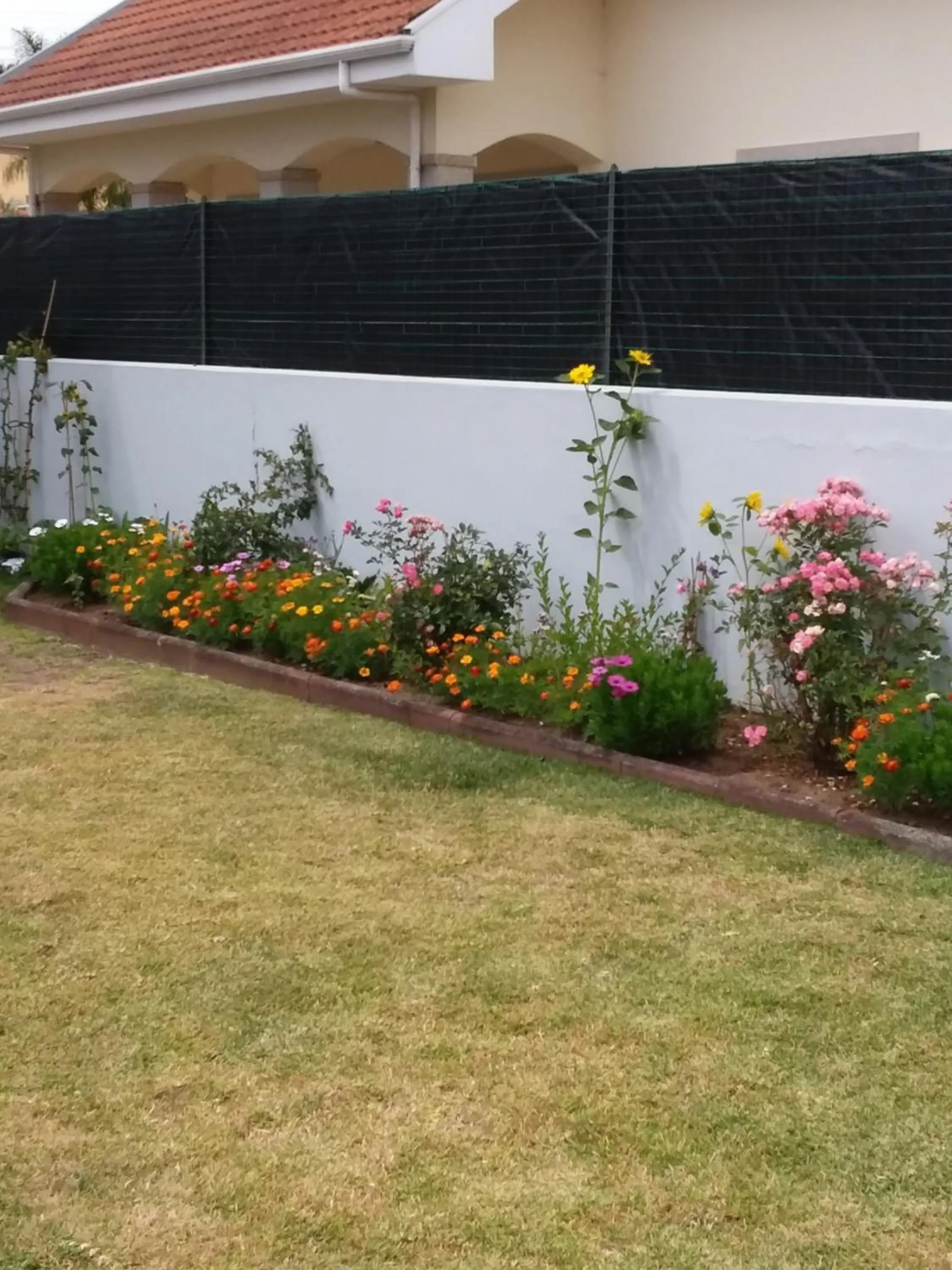 Garden view in Beachwalk guesthouse