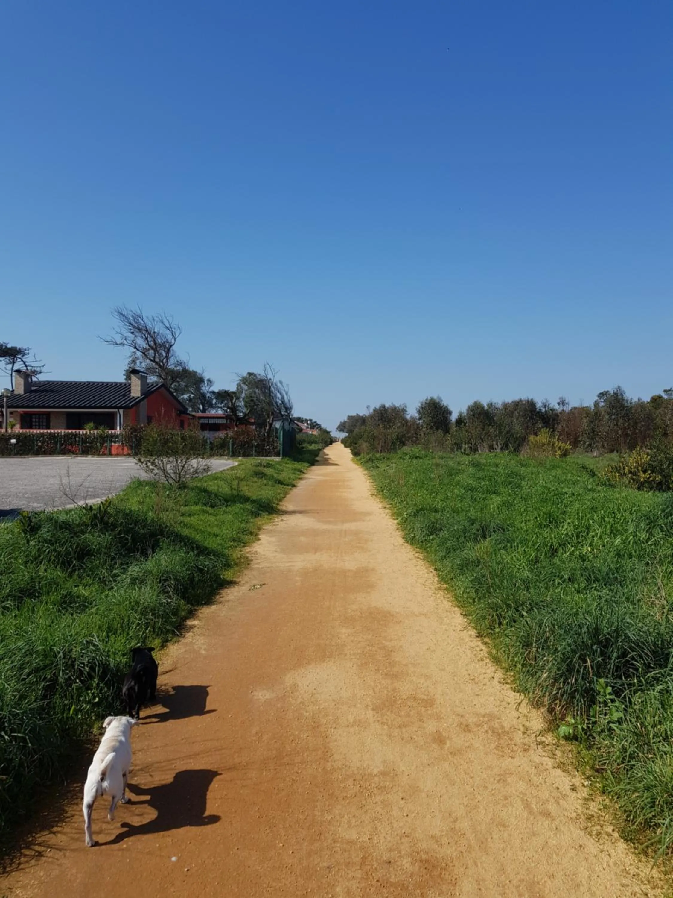 Natural landscape in Beachwalk guesthouse