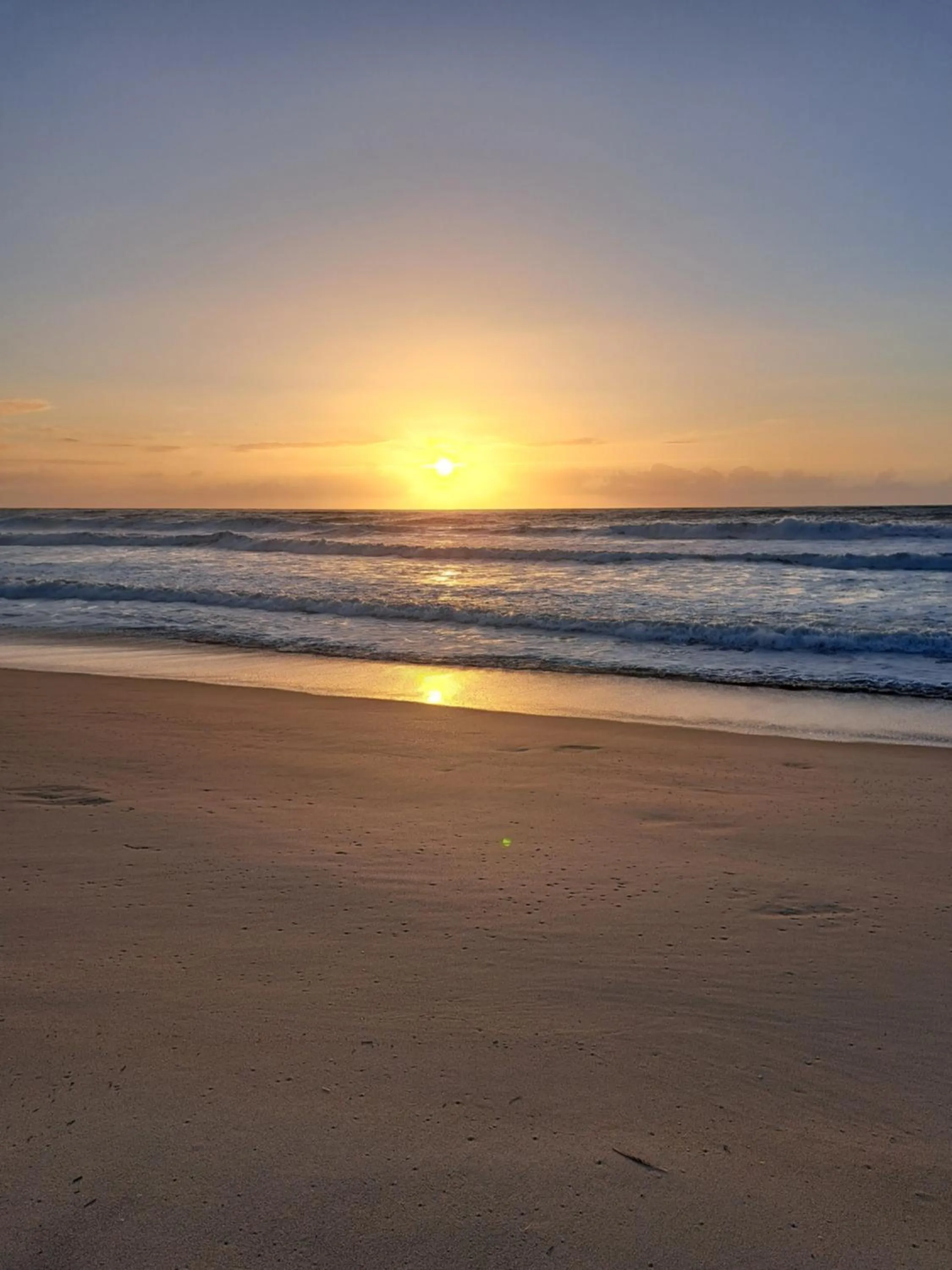 Natural landscape in Beachwalk guesthouse