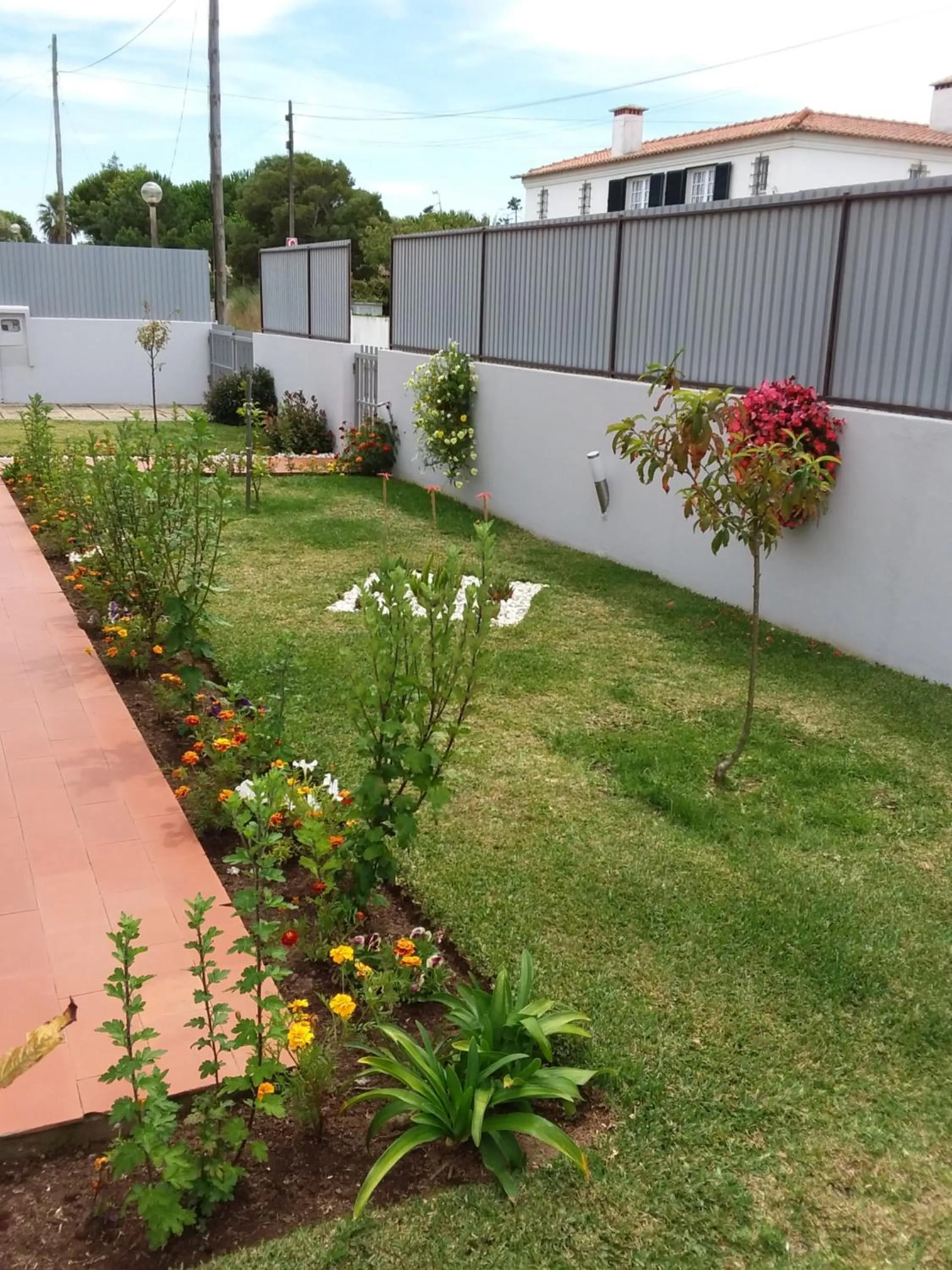 Garden in Beachwalk guesthouse