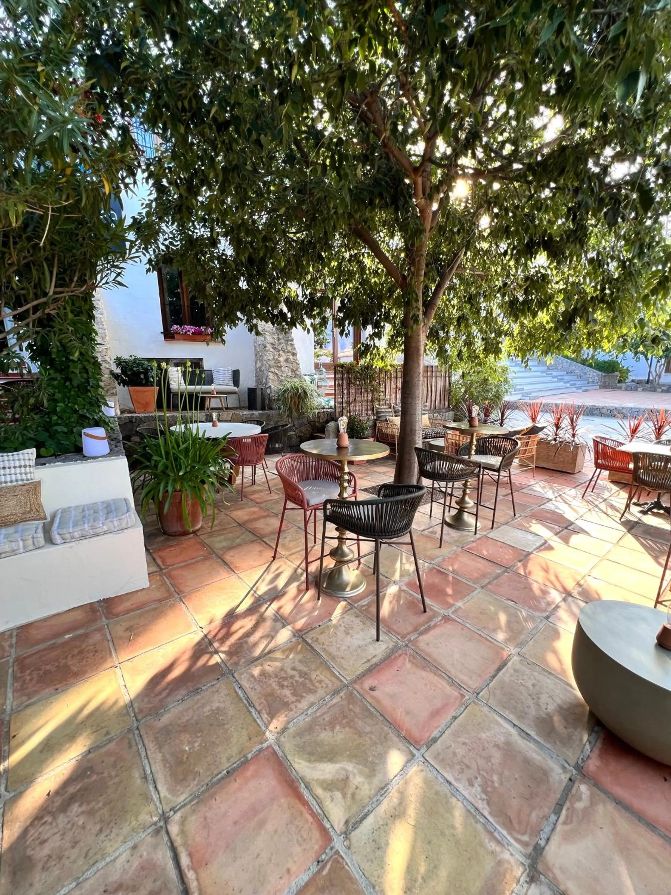 Restaurant/places to eat in Hostal del vino LA COSTERA