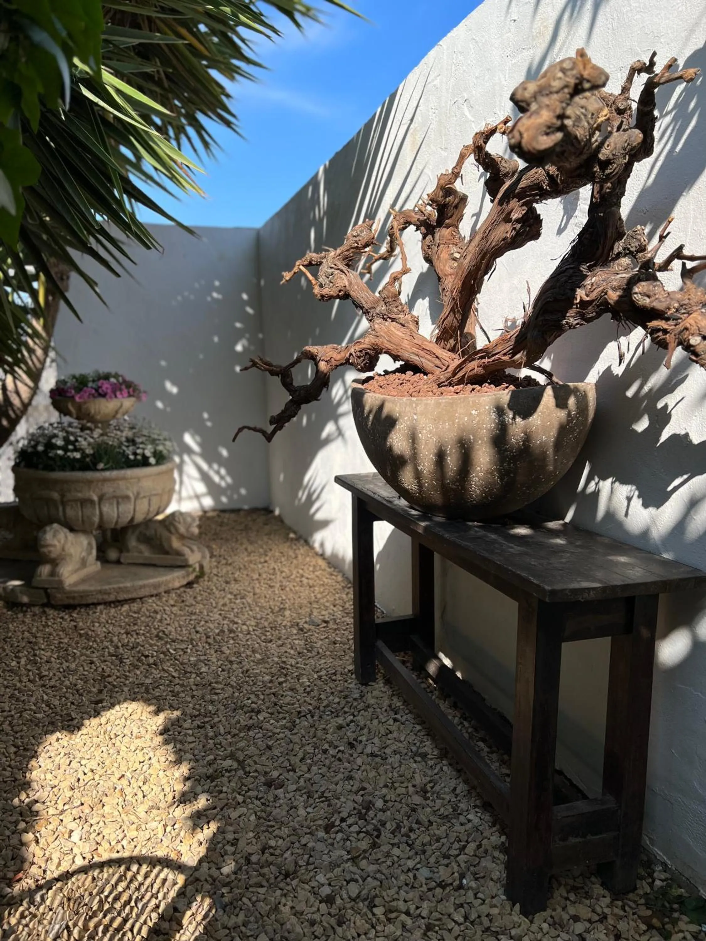 Restaurant/places to eat in Hostal del vino LA COSTERA