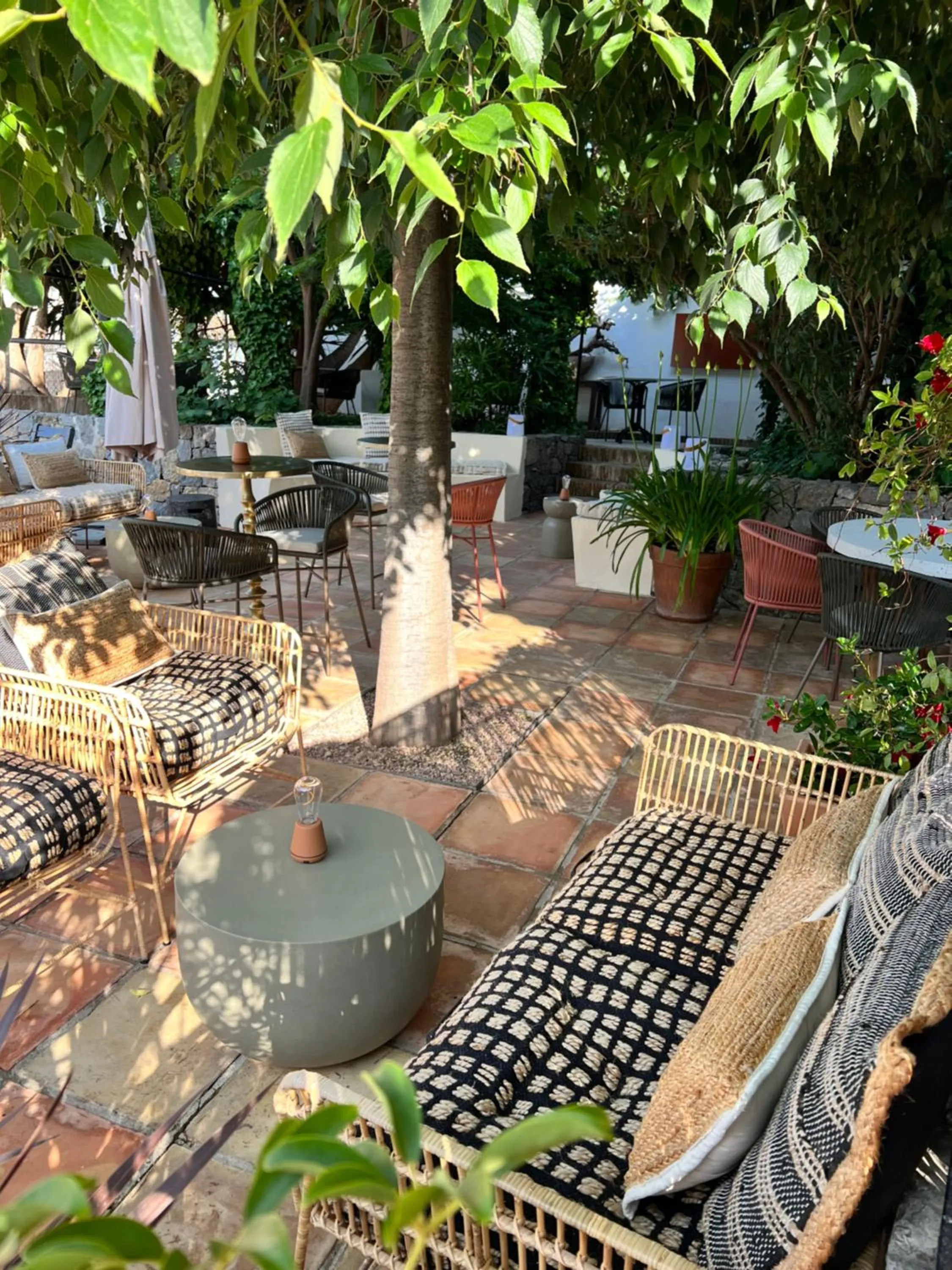 Restaurant/places to eat in Hostal del vino LA COSTERA