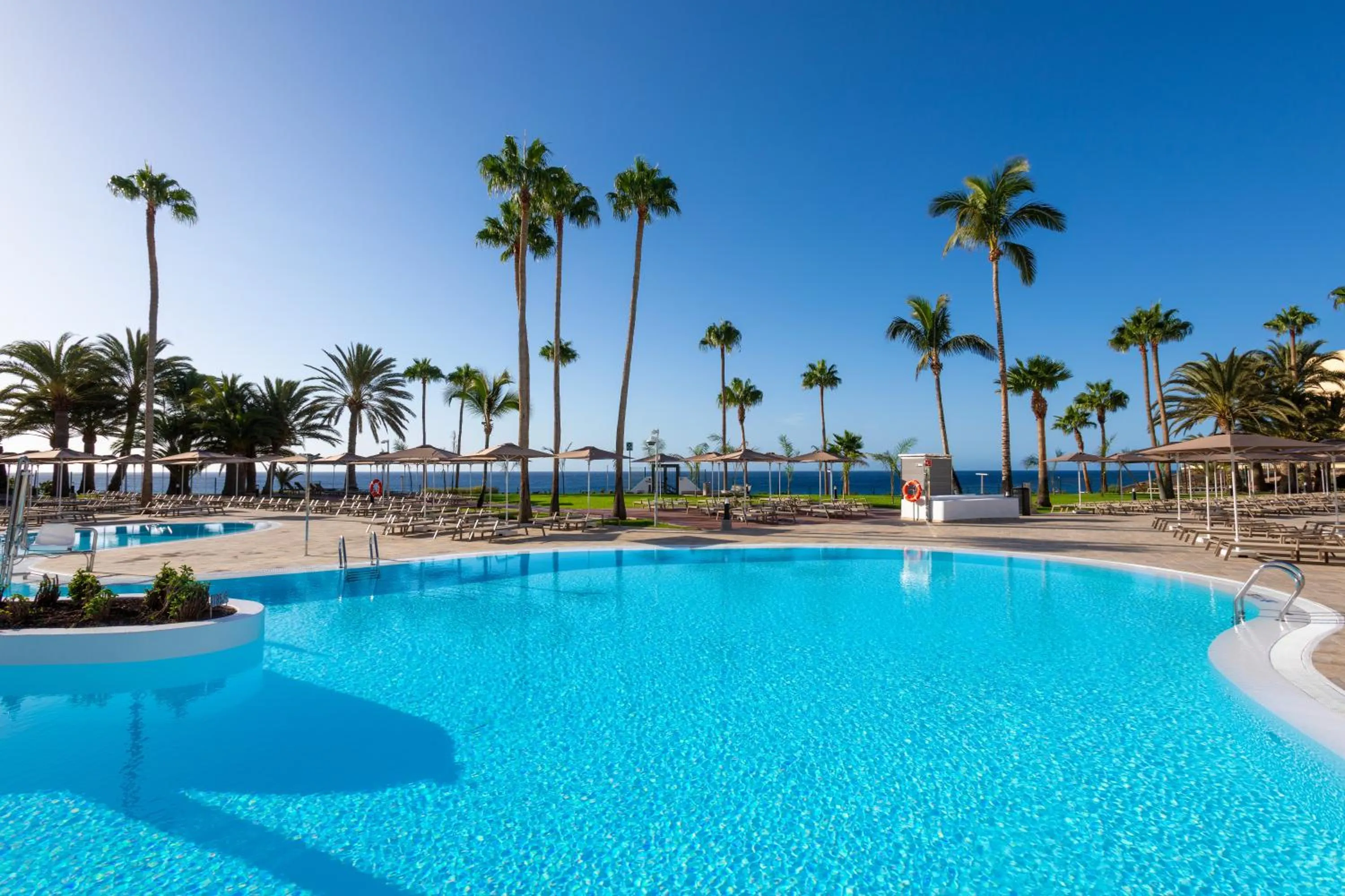 Swimming pool in Hotel Riu Palace Calypso - Adults Only
