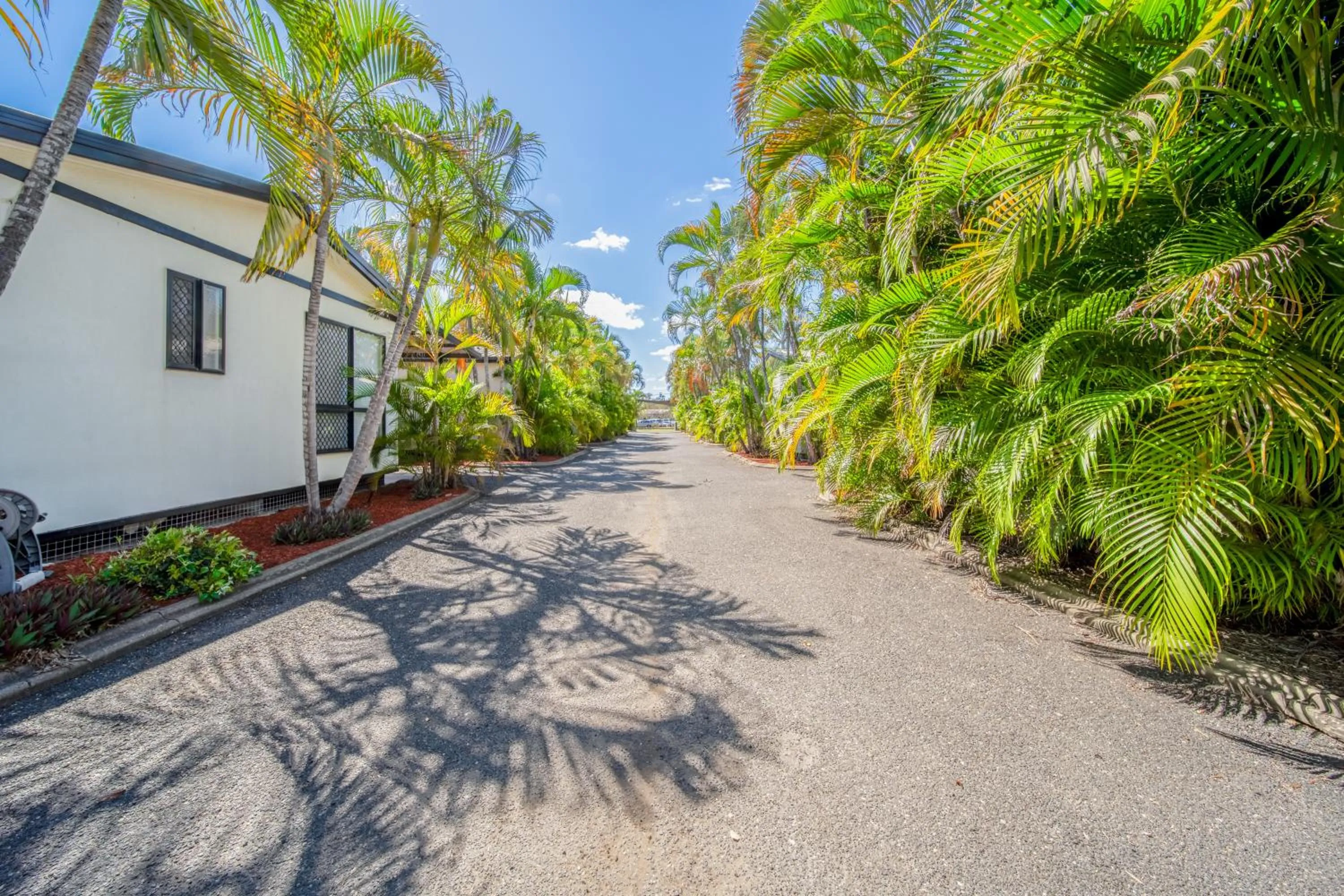 Natural landscape in Emerald Motel Apartments