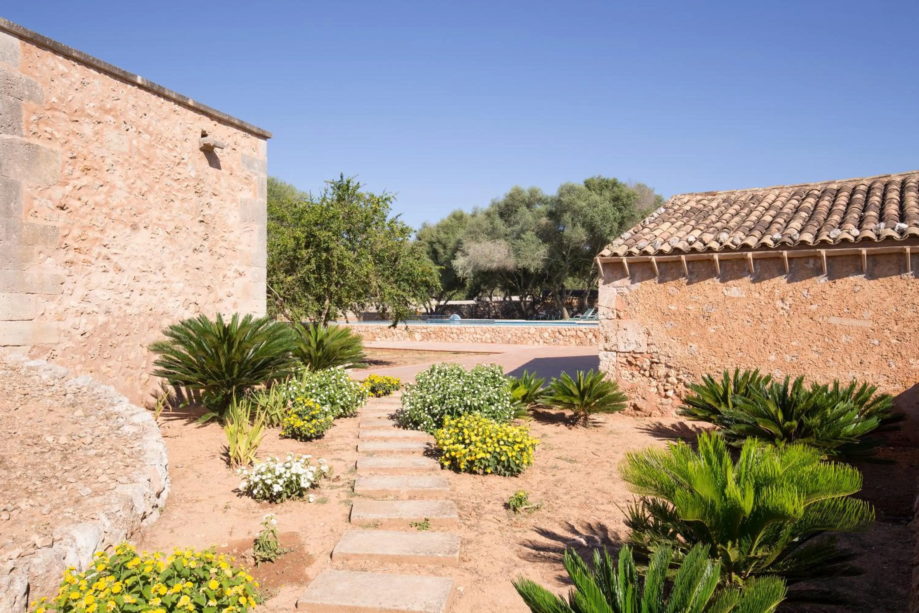 Garden in Hotel Son Cosmet