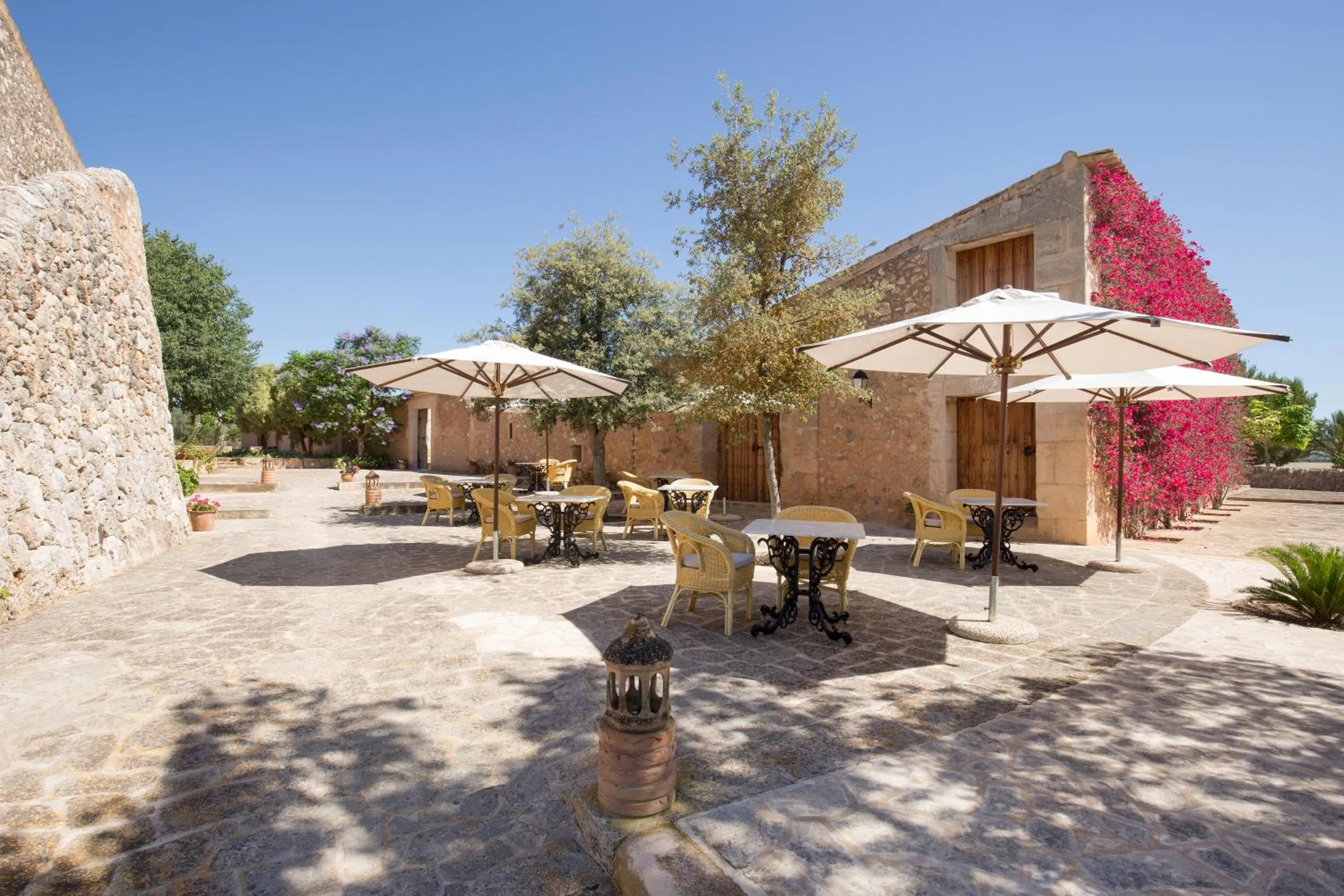 Breakfast in Hotel Son Cosmet