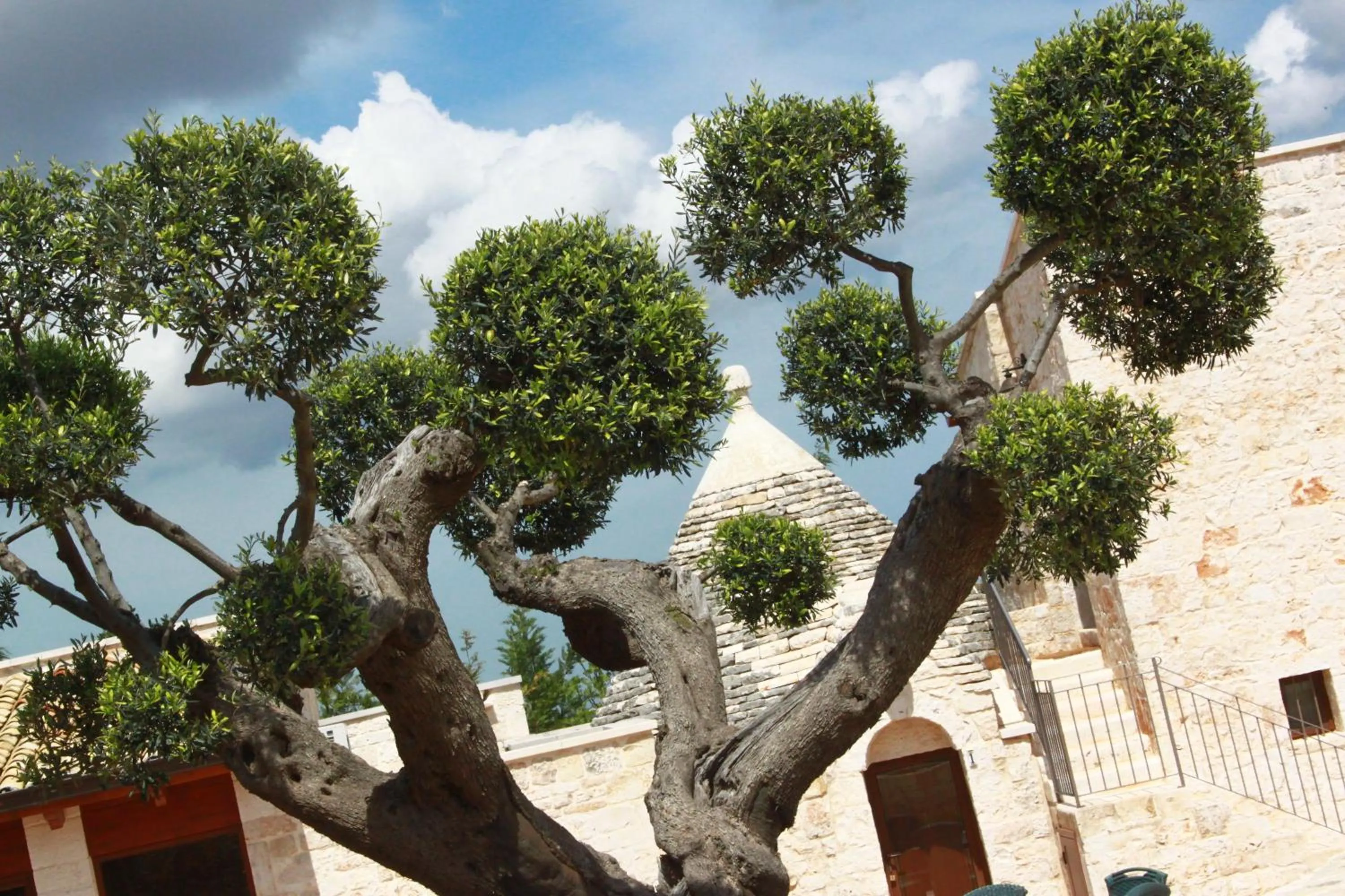 Decorative detail in B&B Fiano Marchione
