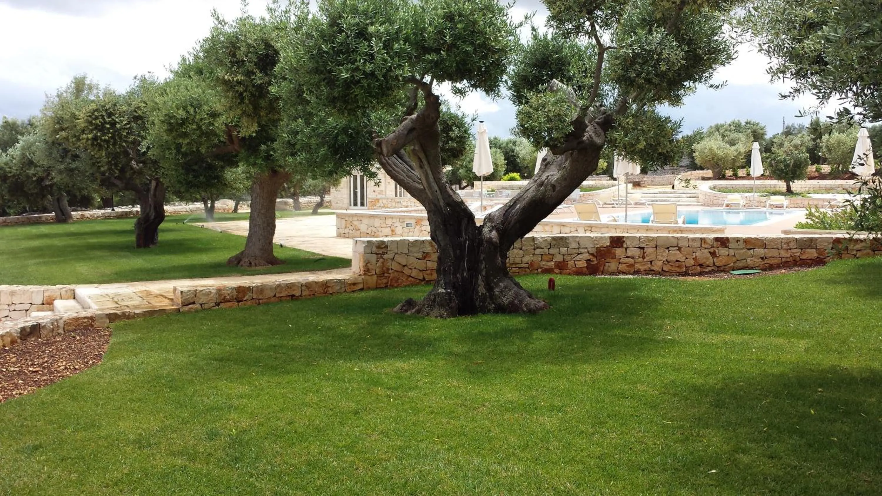 Swimming pool in B&B Fiano Marchione